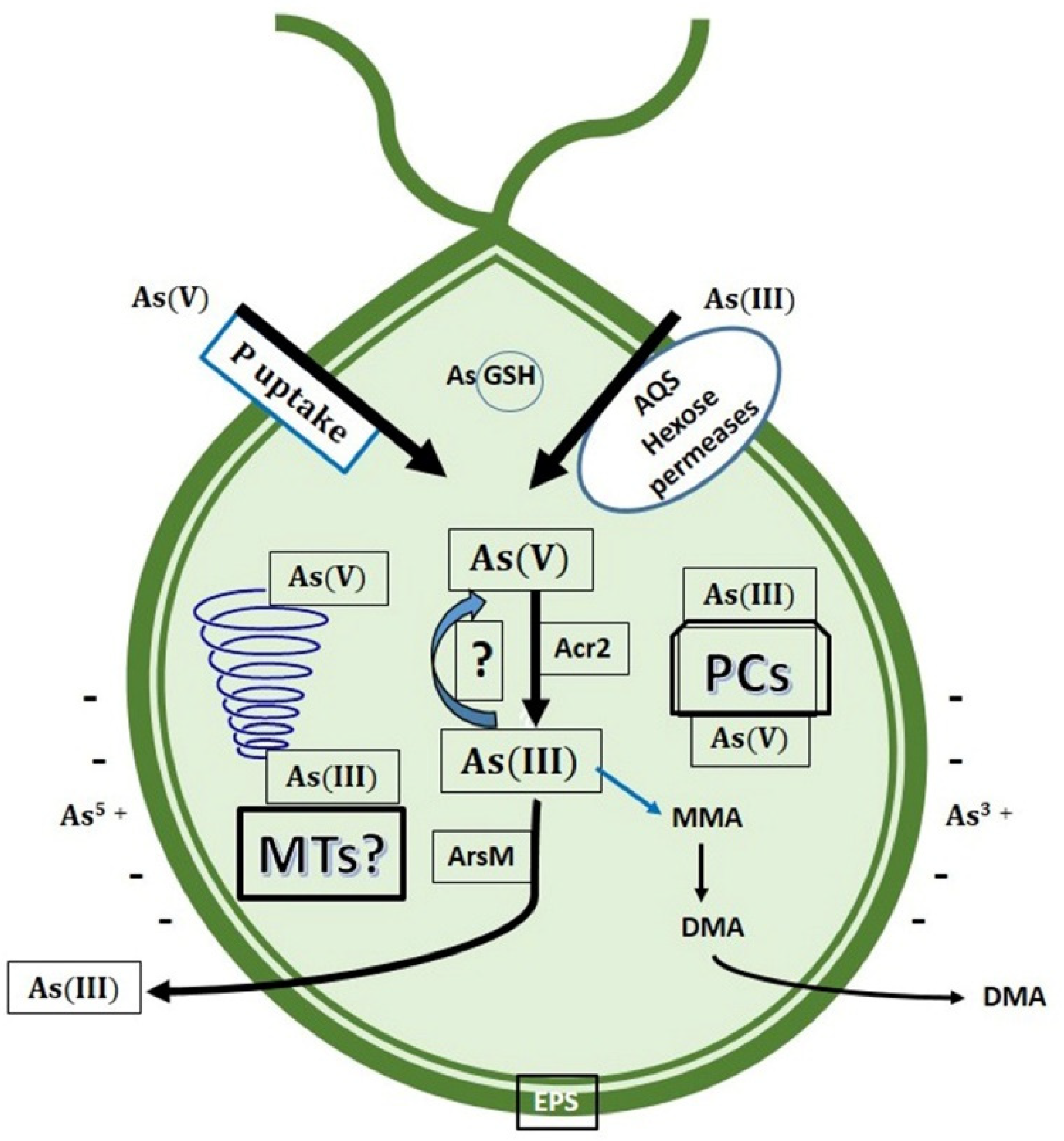 Ijerph 18 12226 g007