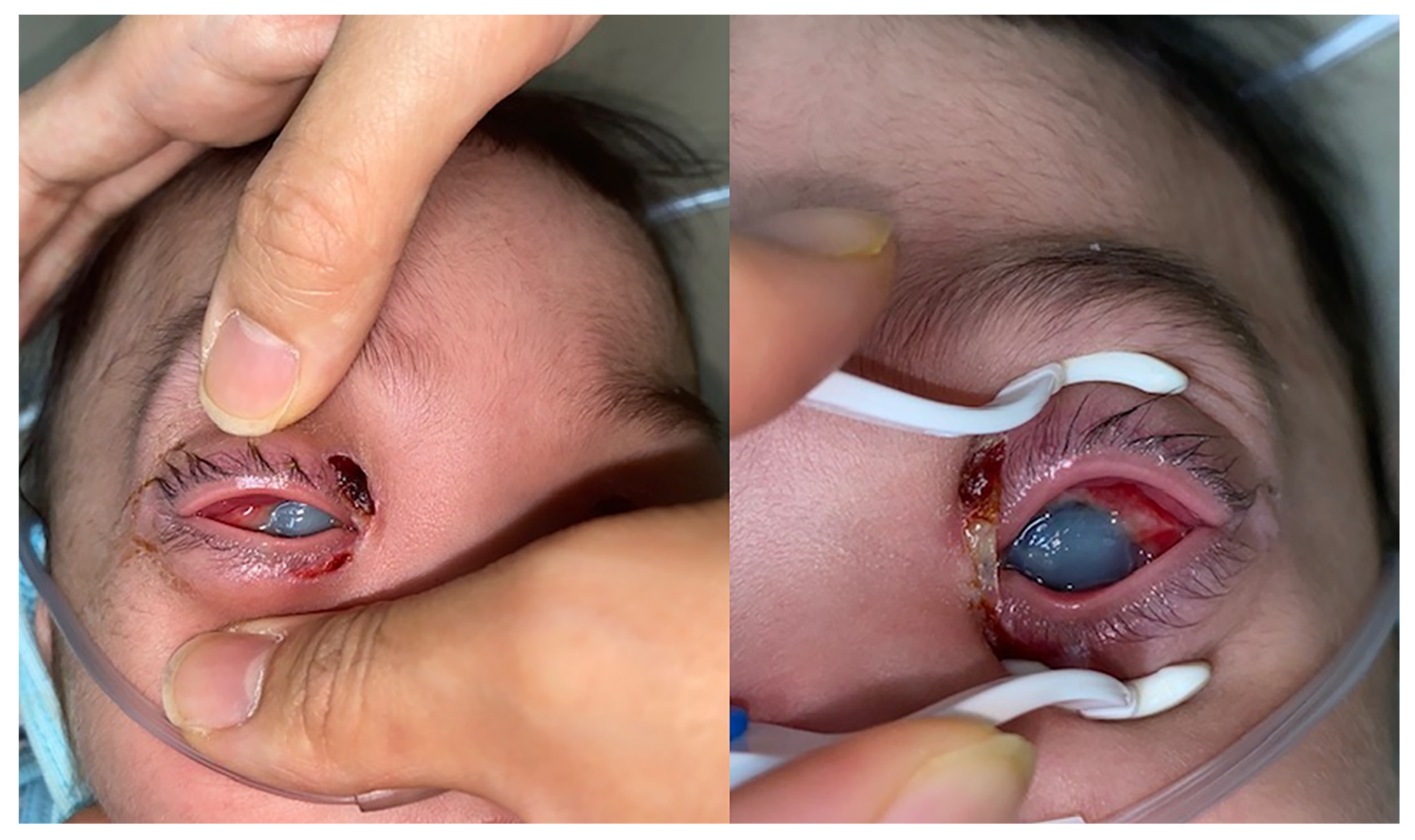 Ijerph 18 12269 g001