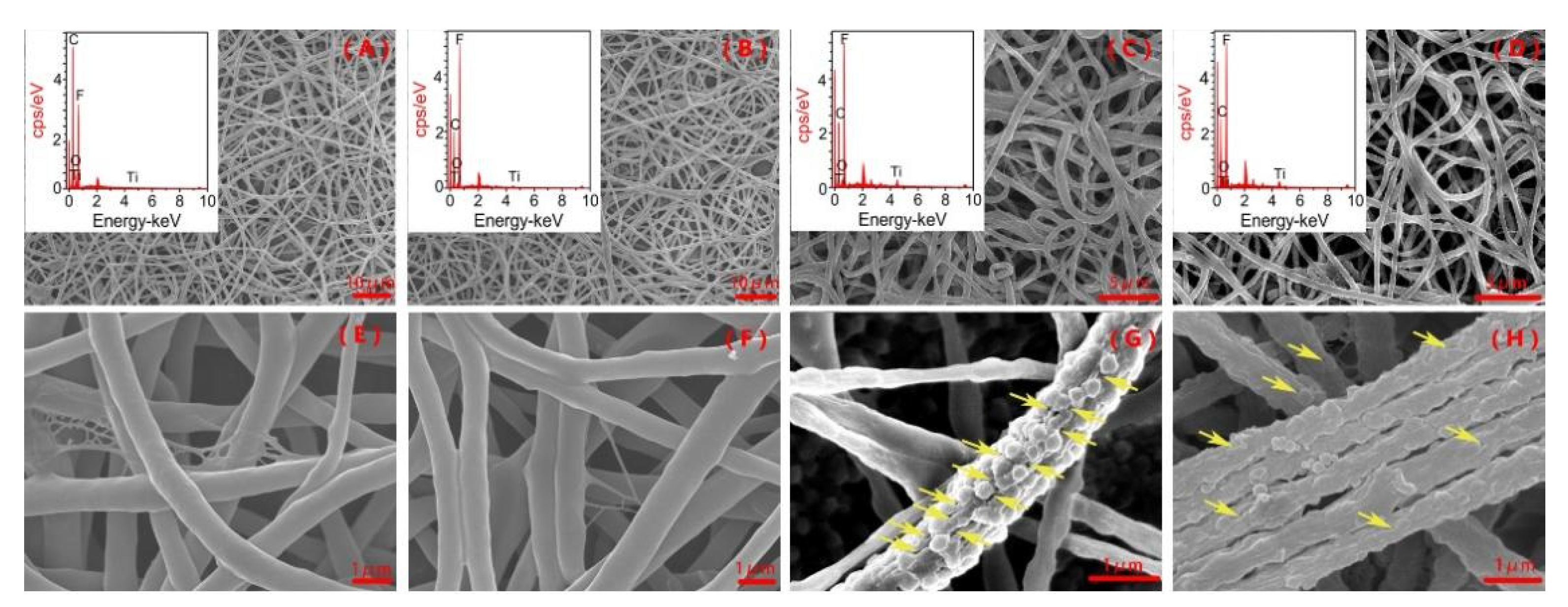 Ijerph 18 12339 g001 550