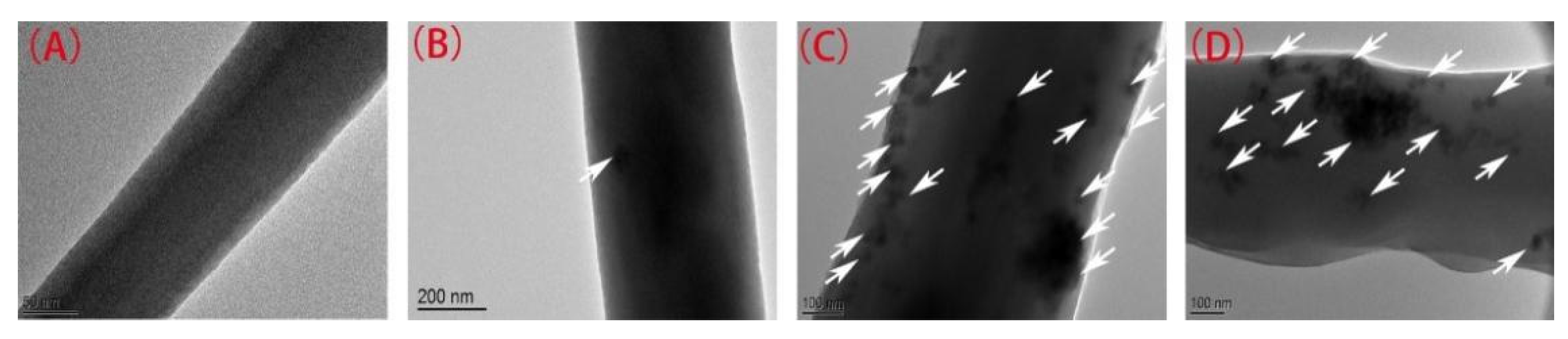 Ijerph 18 12339 g002 550