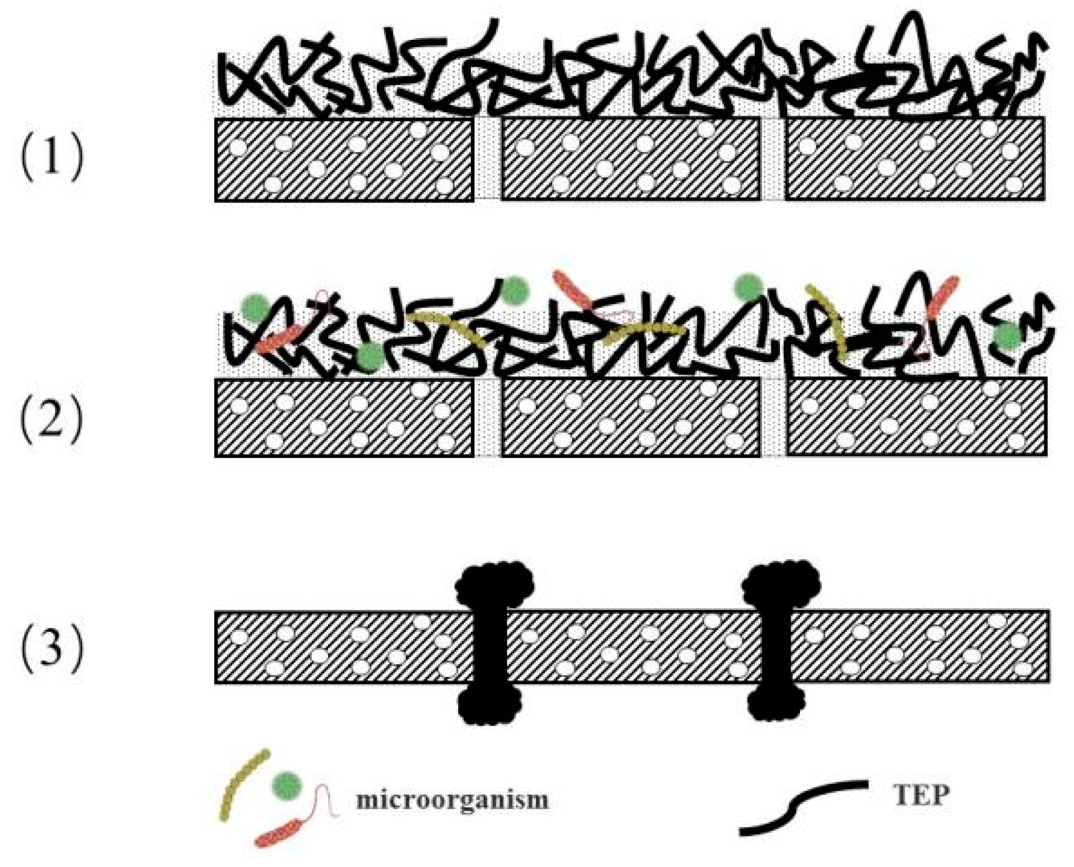 Ijerph 18 12344 g002