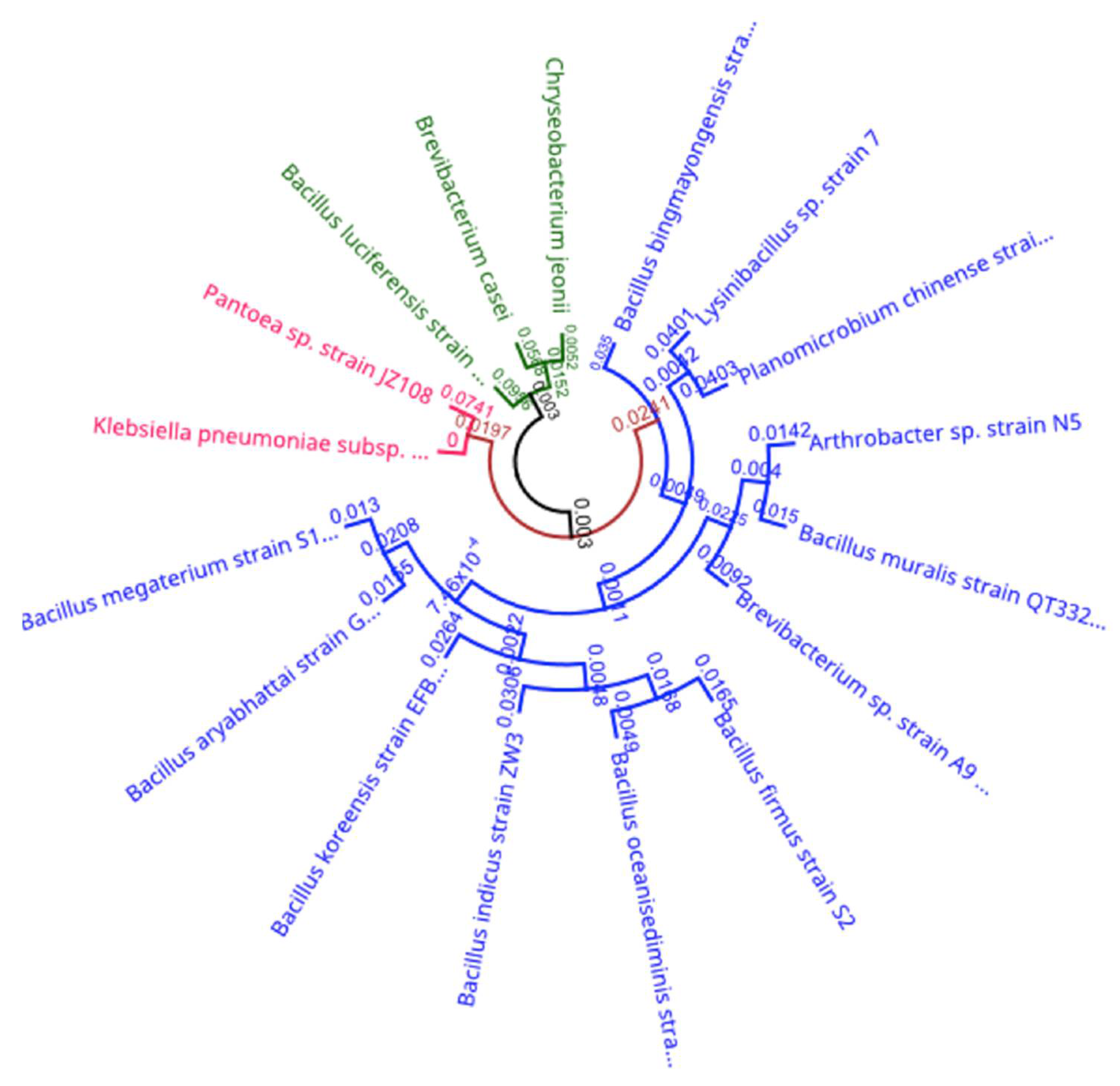 Ijerph 18 12399 g008 550