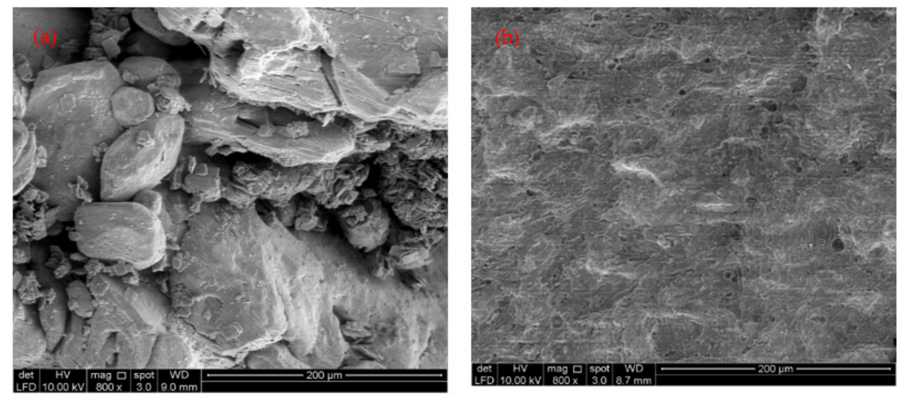 Ijerph 18 12427 g003 550