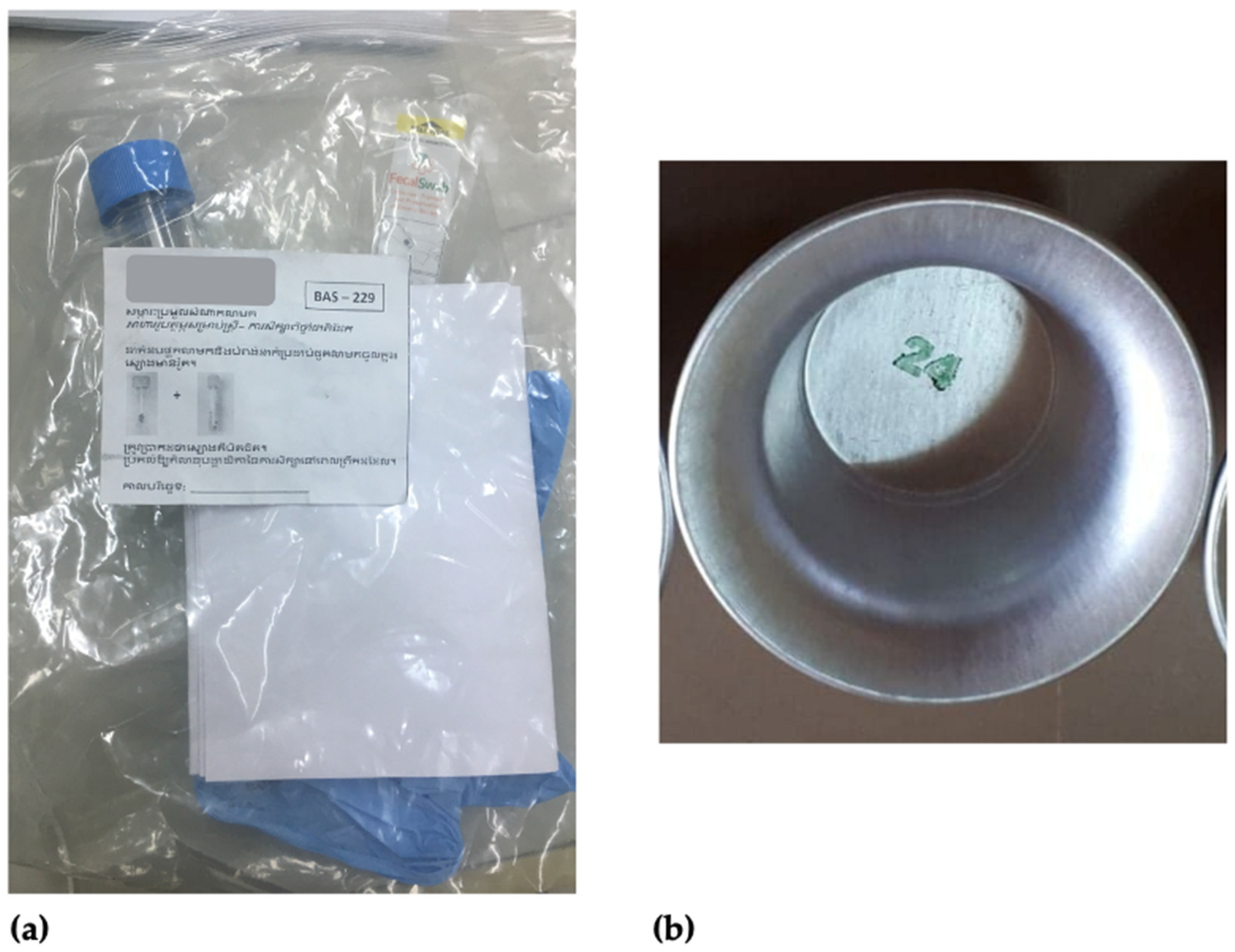 Ijerph 18 12430 g001