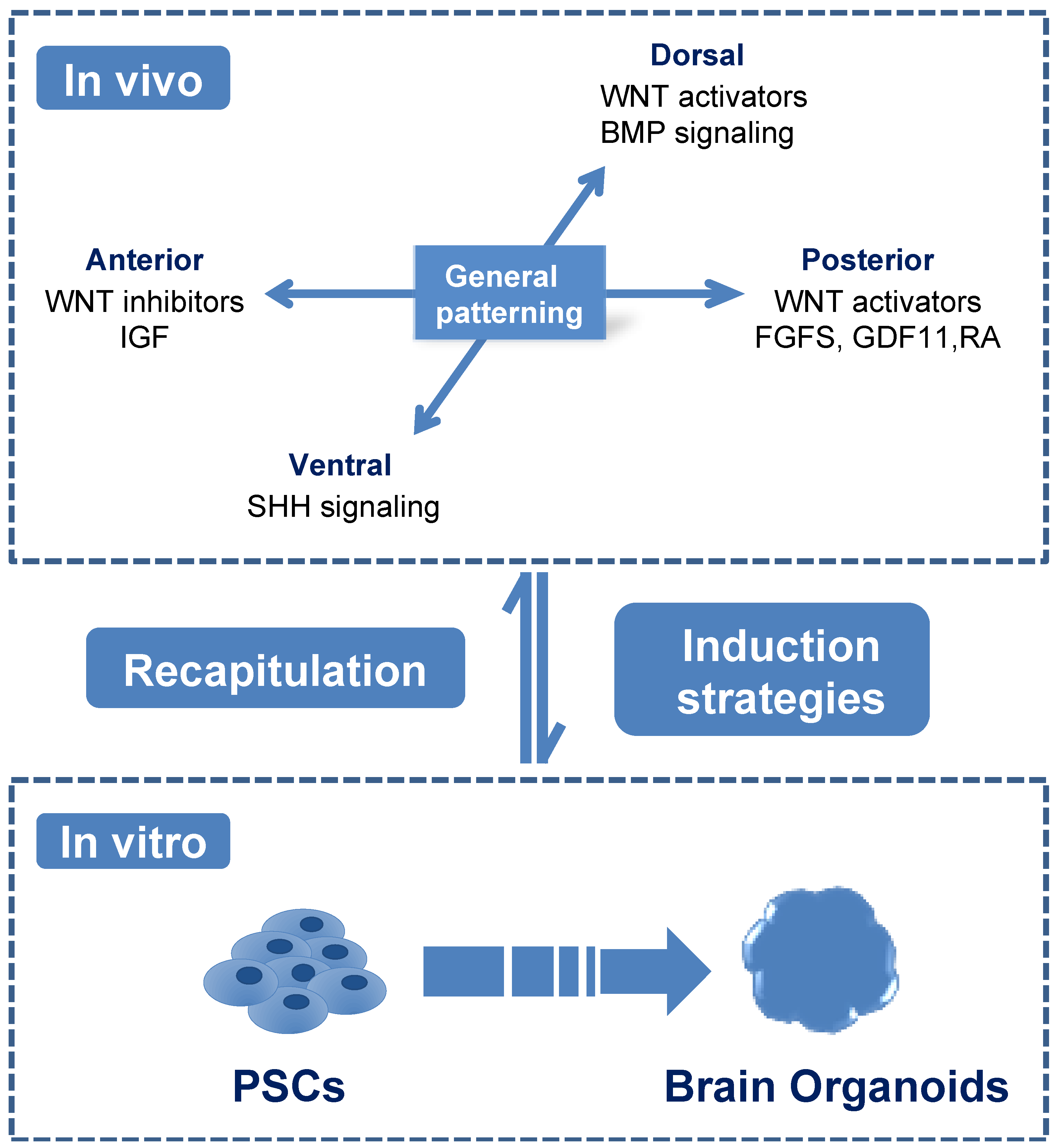 Ijerph 18 12431 g001 550