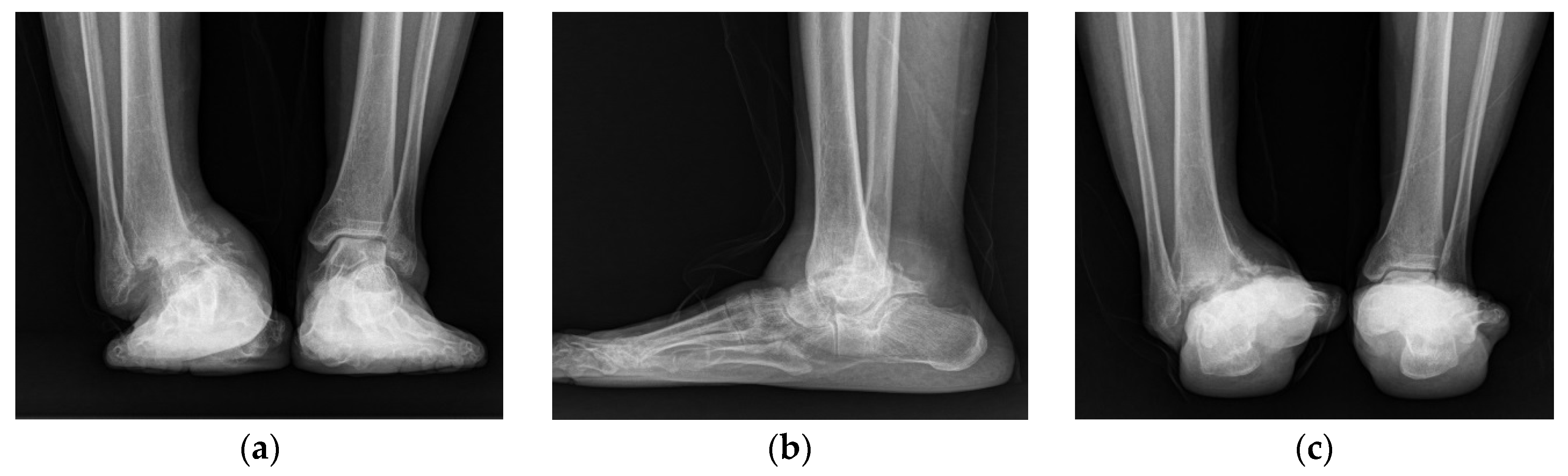 Ijerph 18 12473 g002