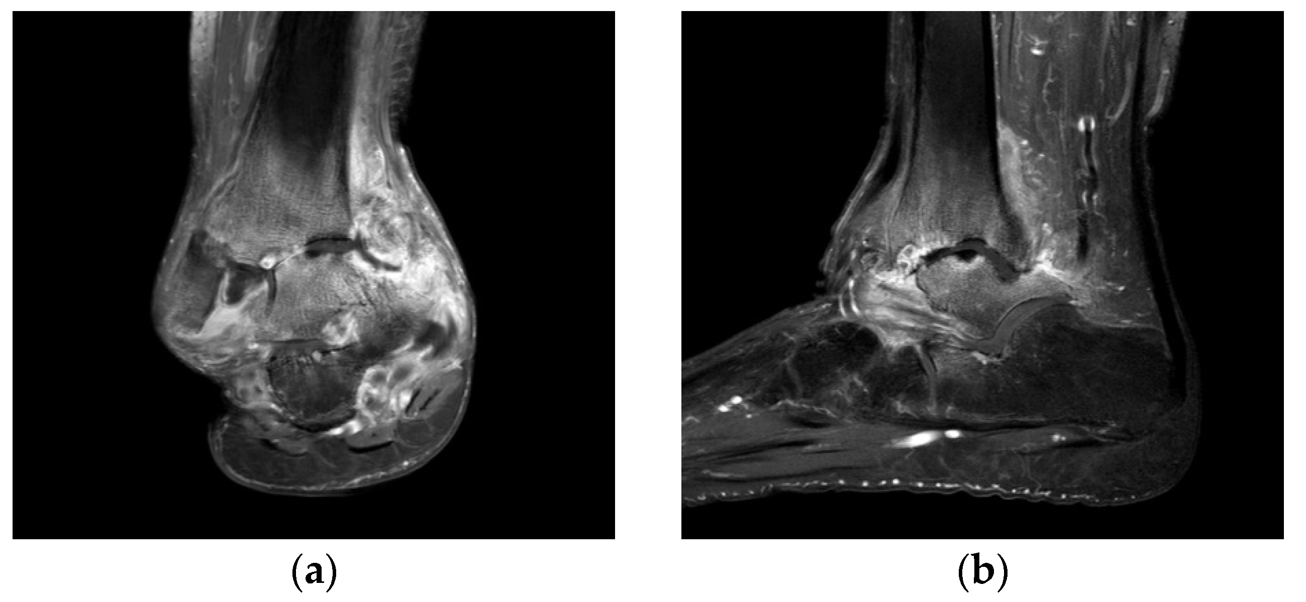 Ijerph 18 12473 g004