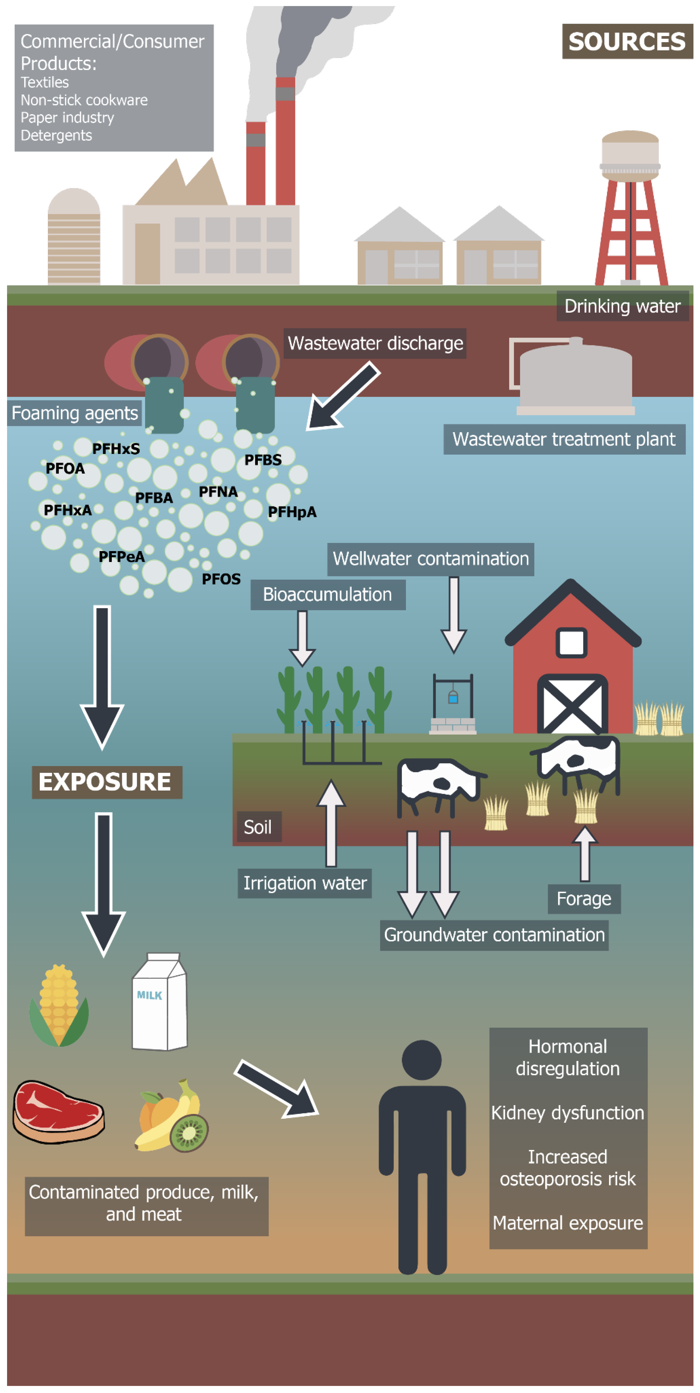 Ijerph 18 12550 g002