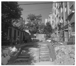 Ijerph 18 12618 i007