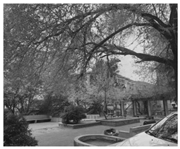 Ijerph 18 12618 i009