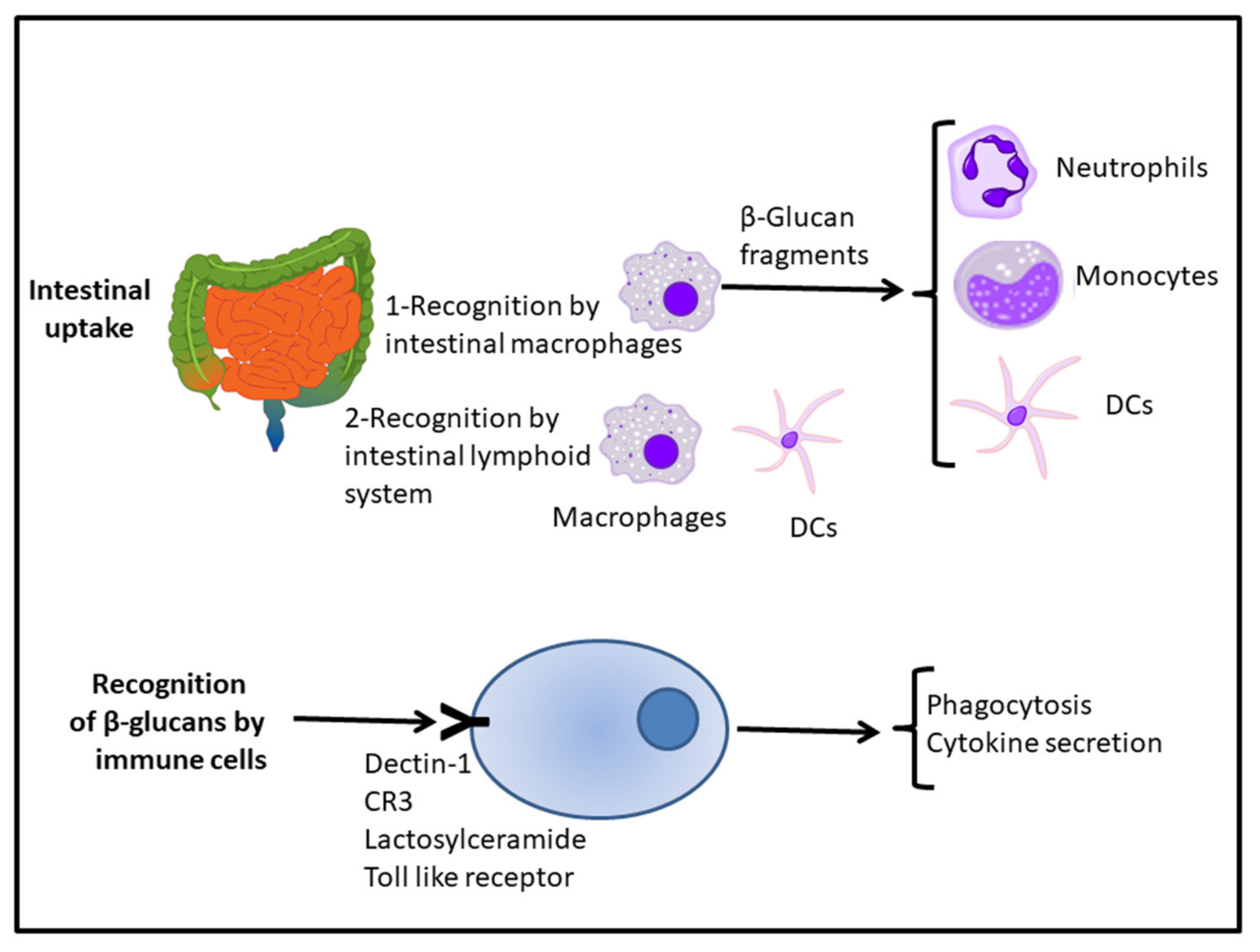 Ijerph 18 12636 g001 Ijerph 18 12636 g001
