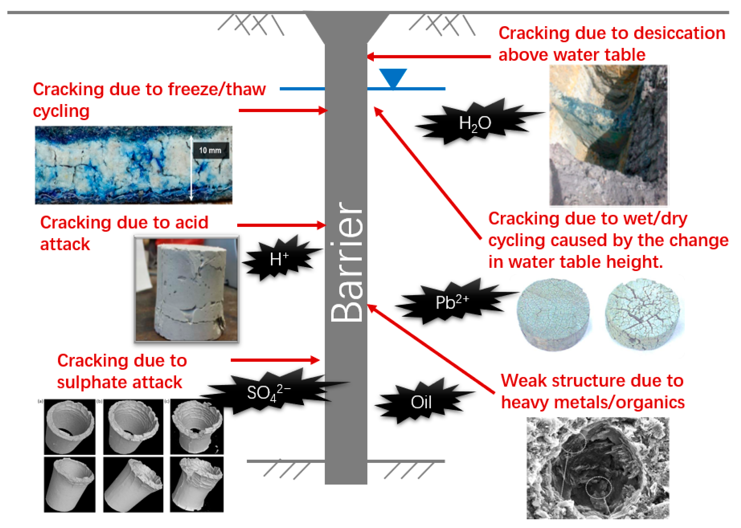 Ijerph 18 12643 g001 550