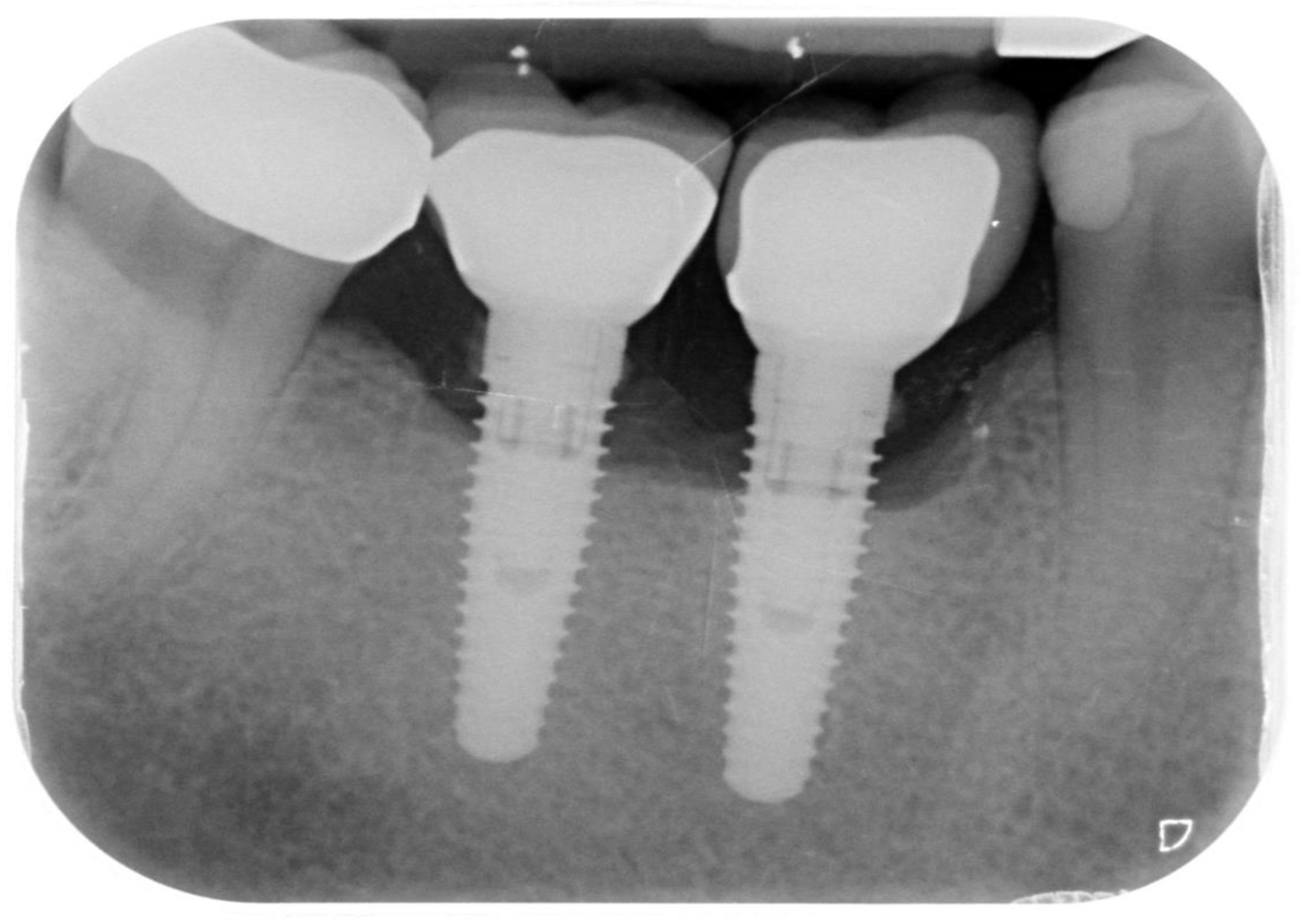 Ijerph 18 12658 g001 550