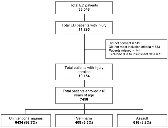 IJERPH | Free Full-Text | The Epidemiology of Injuries in Adults in Nepal: from a Hospital-Based Injury Surveillance Study