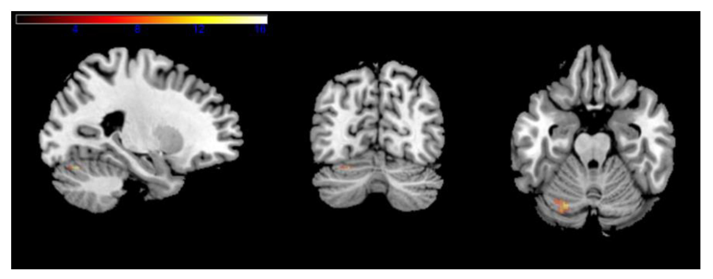 Ijerph 18 12756 g002 550