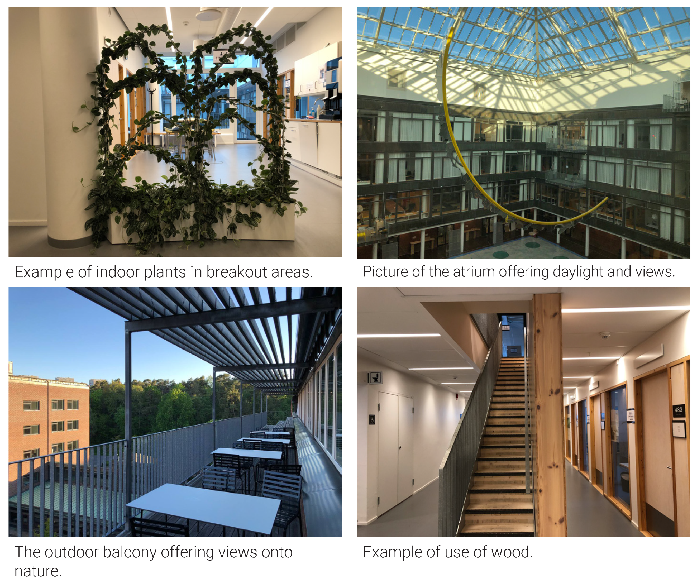 Ijerph 18 12779 g011 550