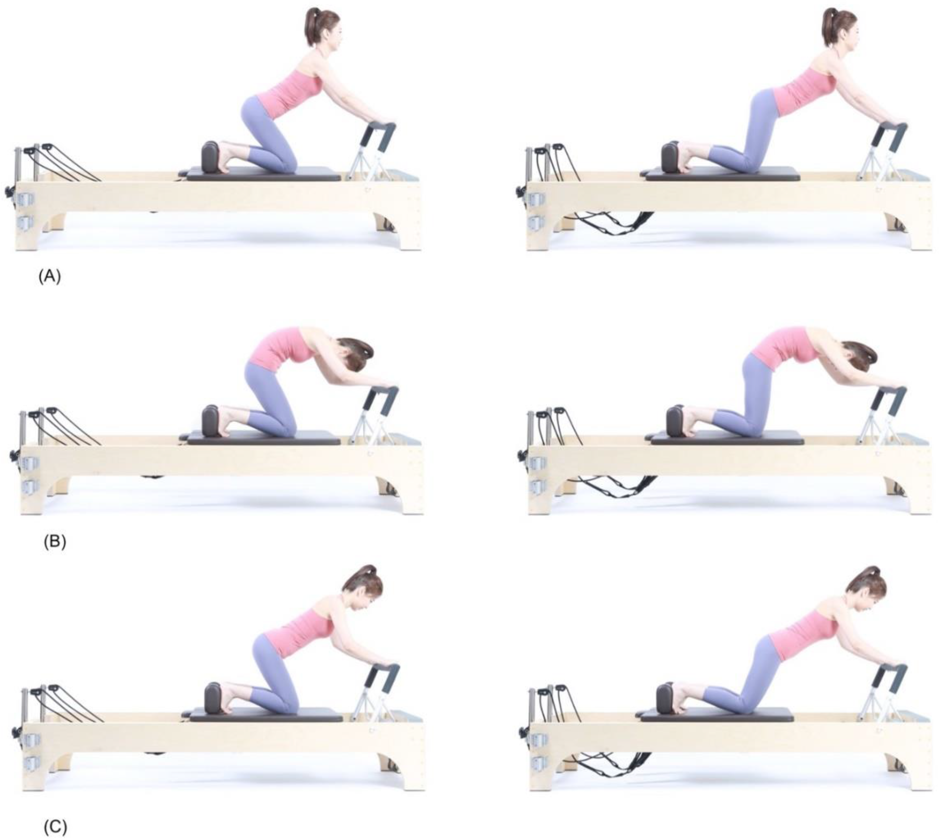 Core stability muscles and their importance in yoga - Yogalexis
