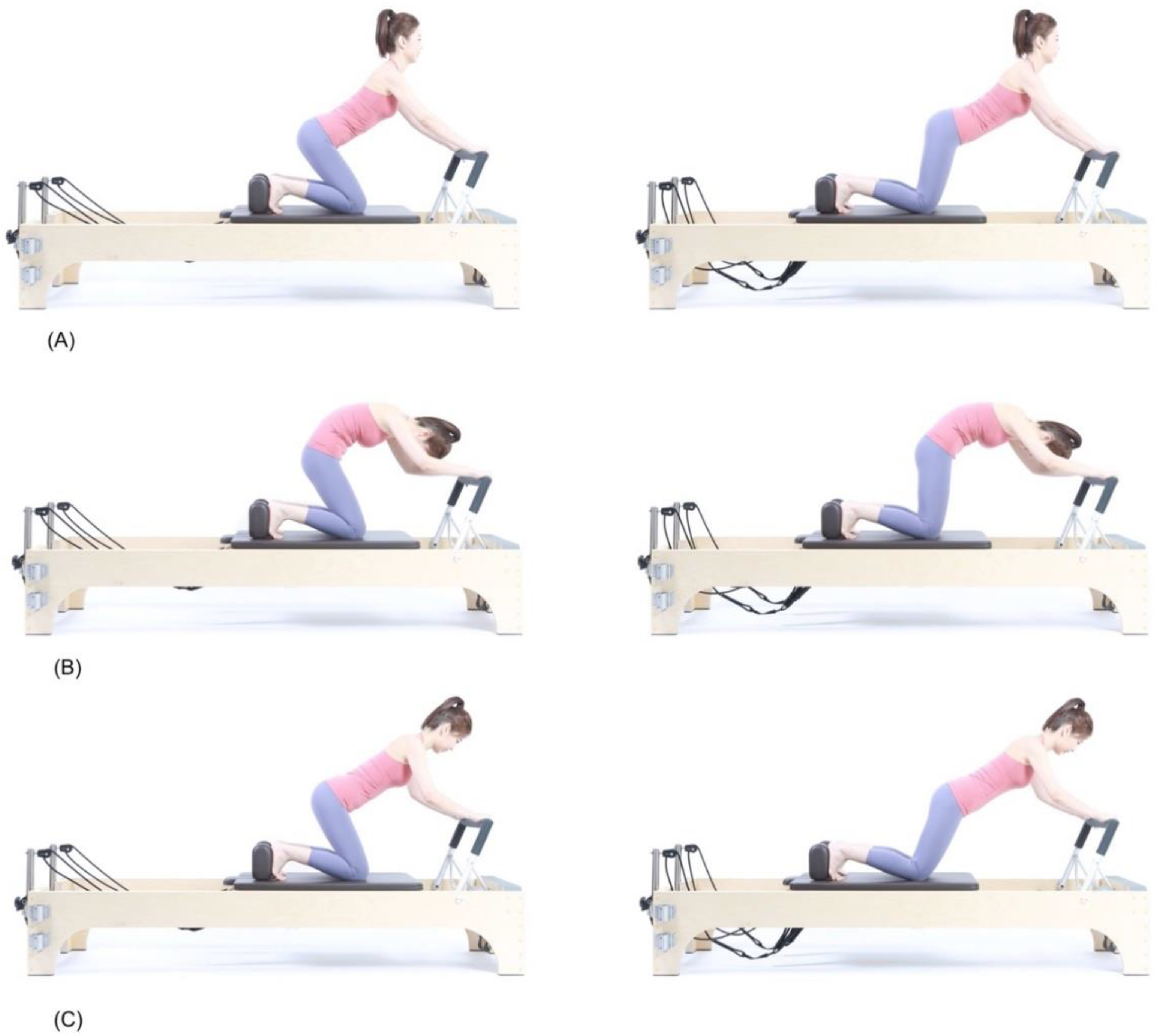 Alive Pilates - The importance of the core muscles