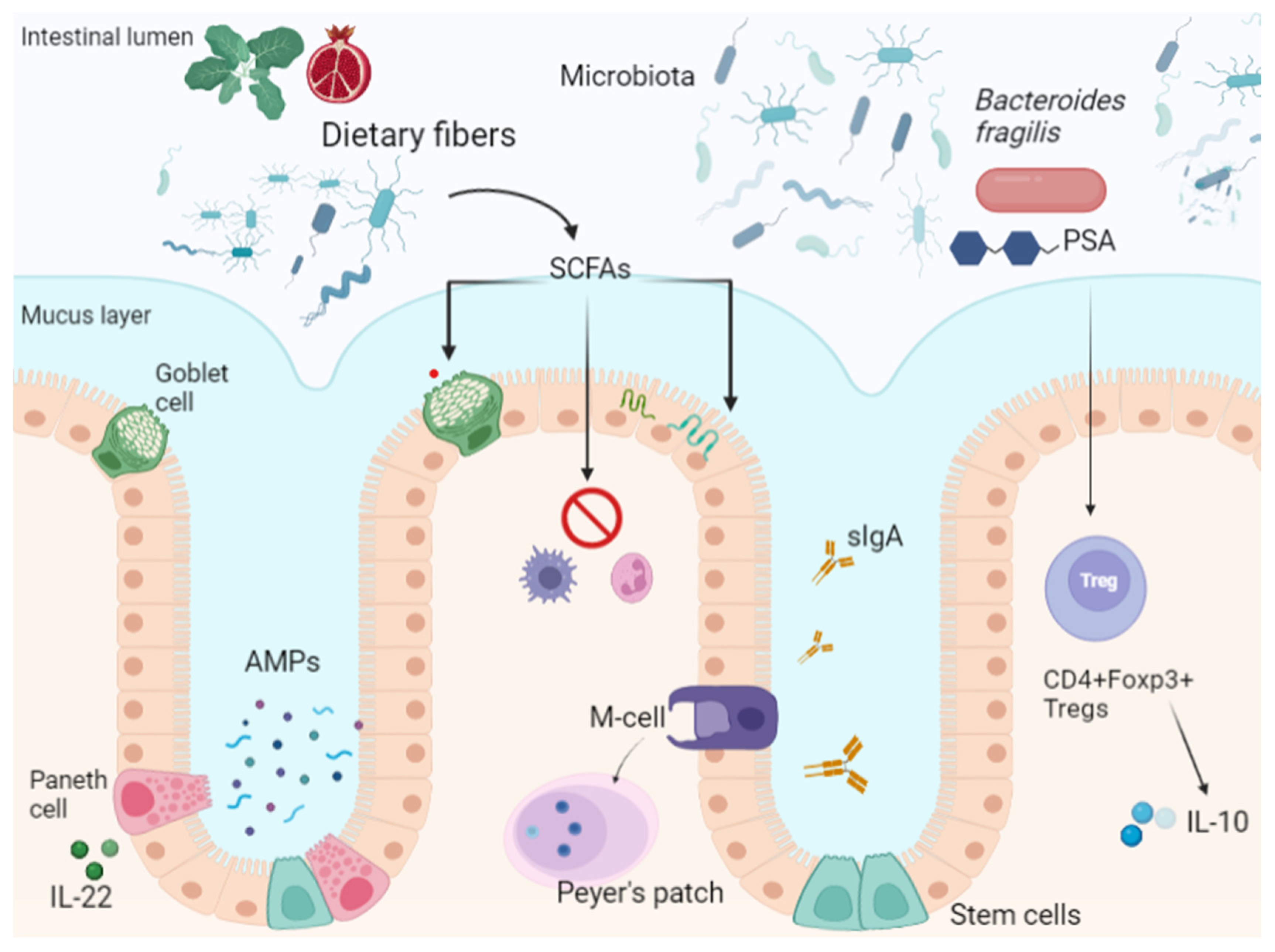 Ijerph 18 12836 g001