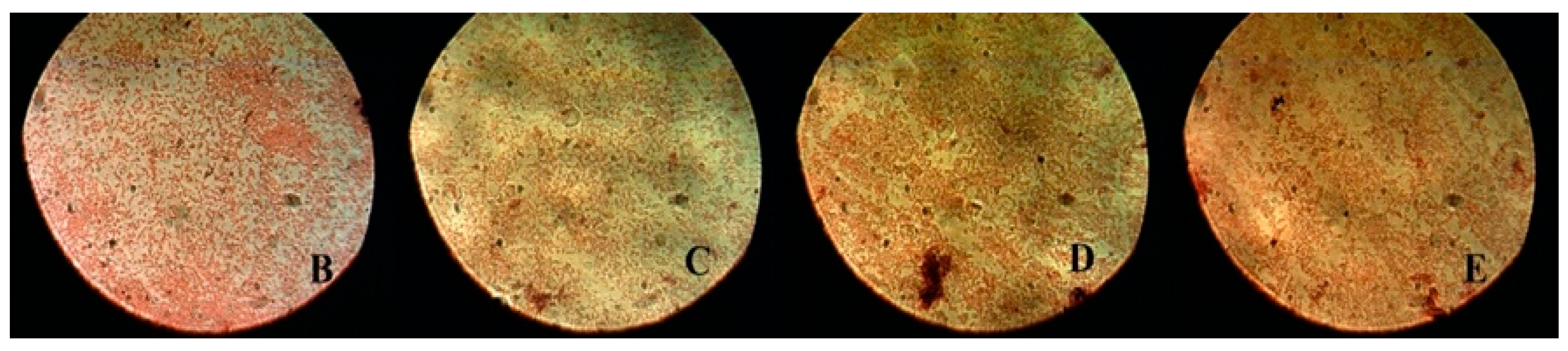 Ijerph 18 12847 g004 550