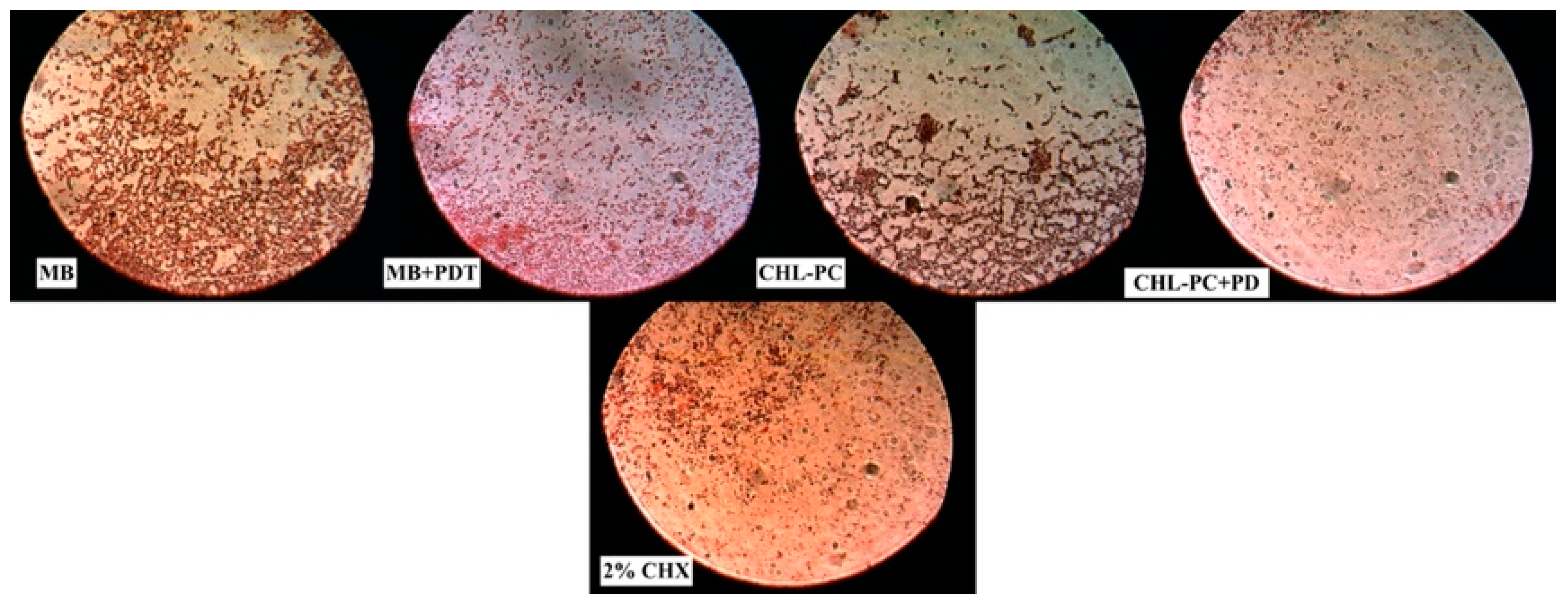 Ijerph 18 12847 g005 550