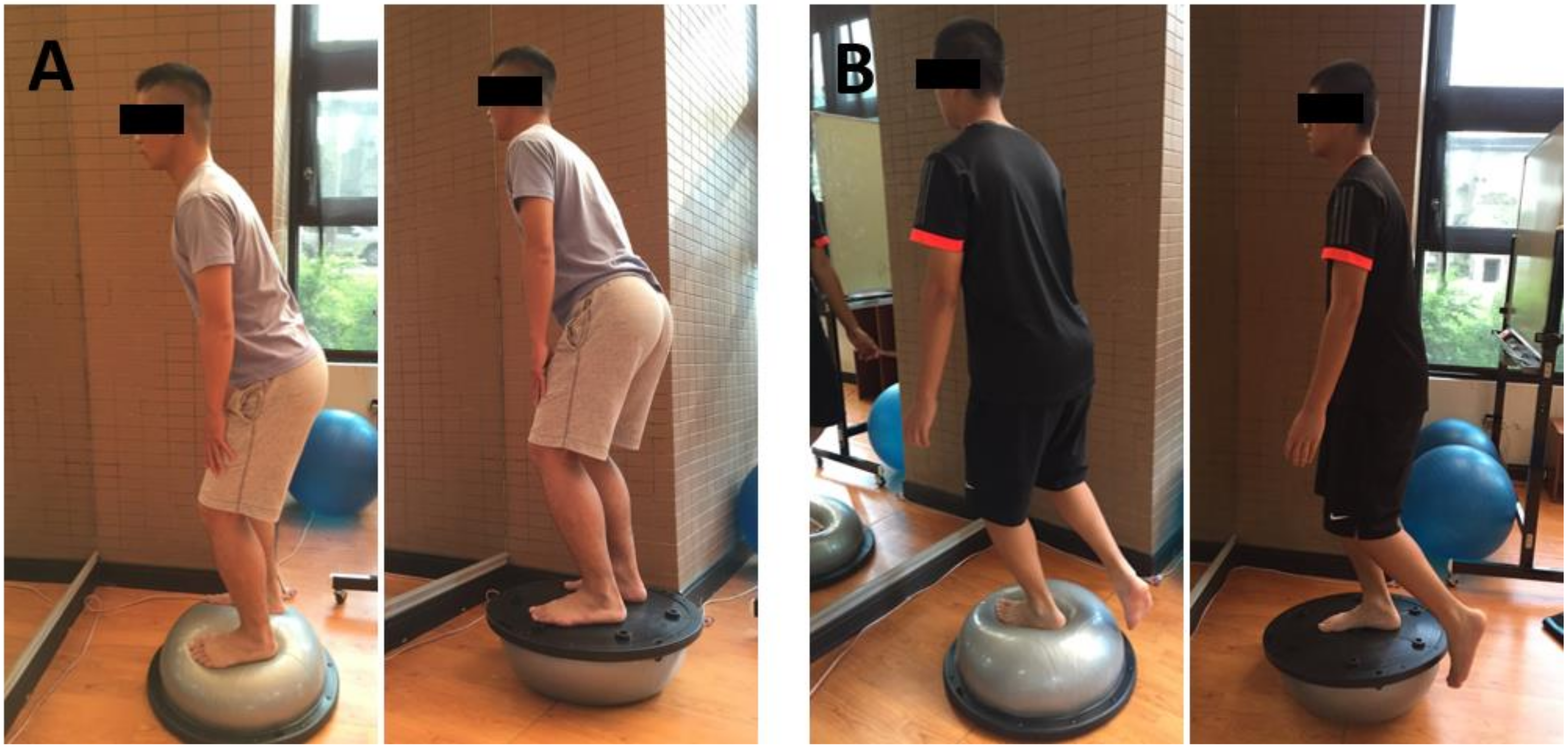 Ijerph 18 12849 g001