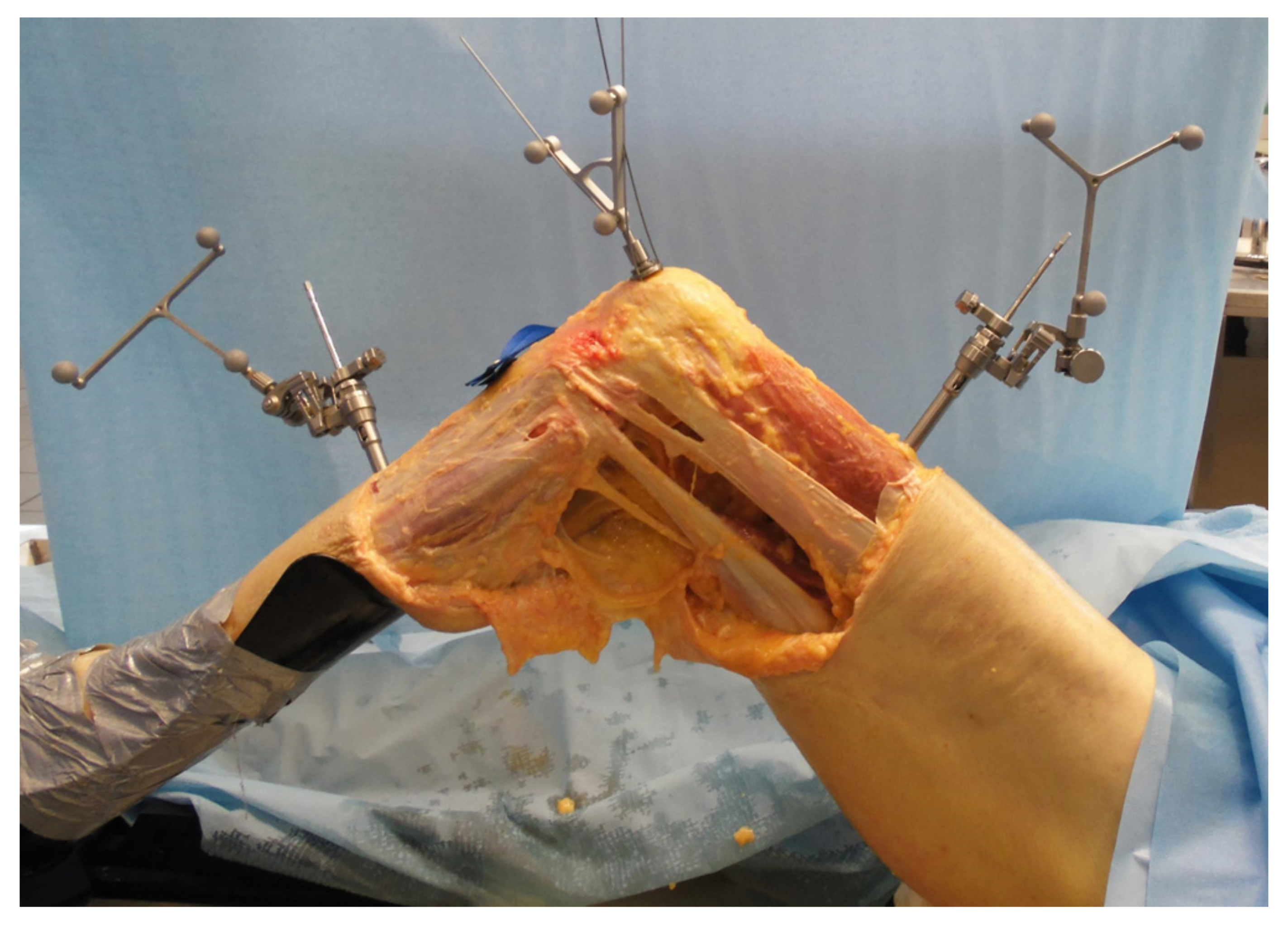 Ijerph 18 12852 g002