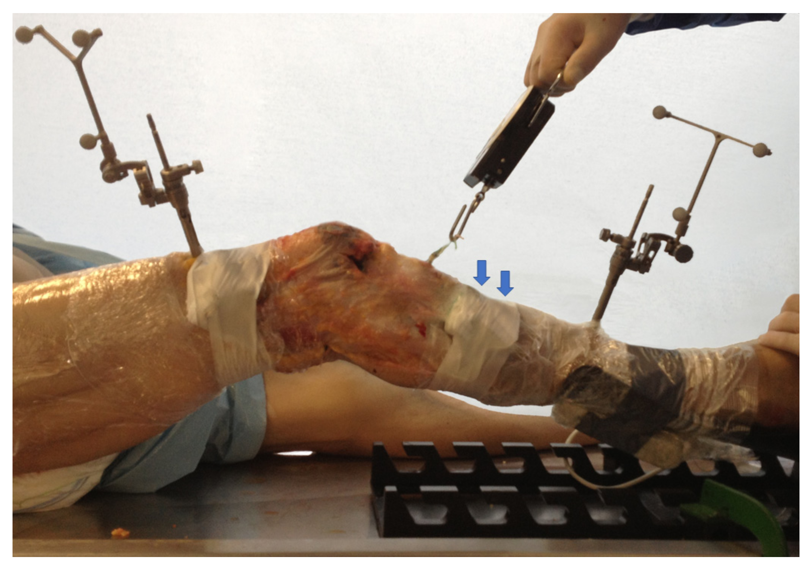 Ijerph 18 12852 g003