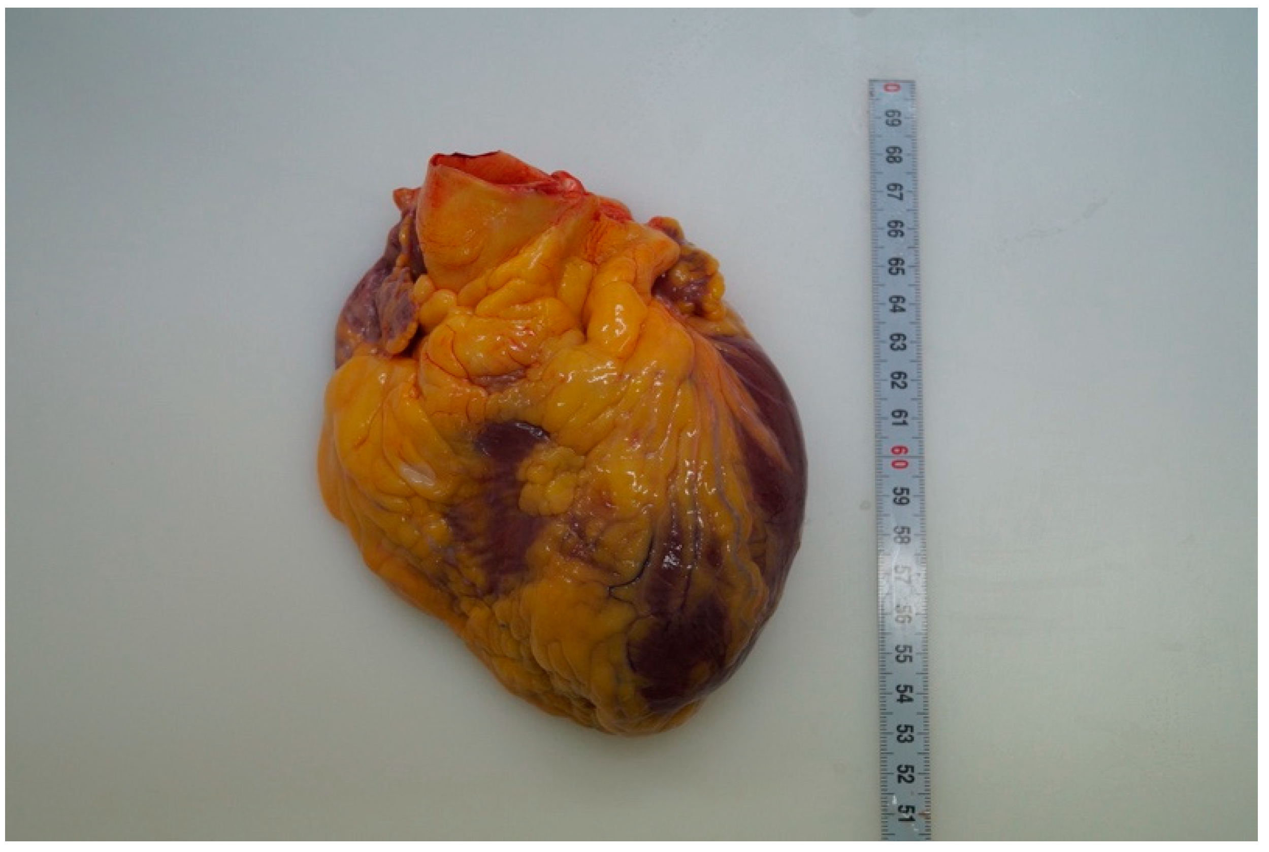 Ijerph 18 12911 g001