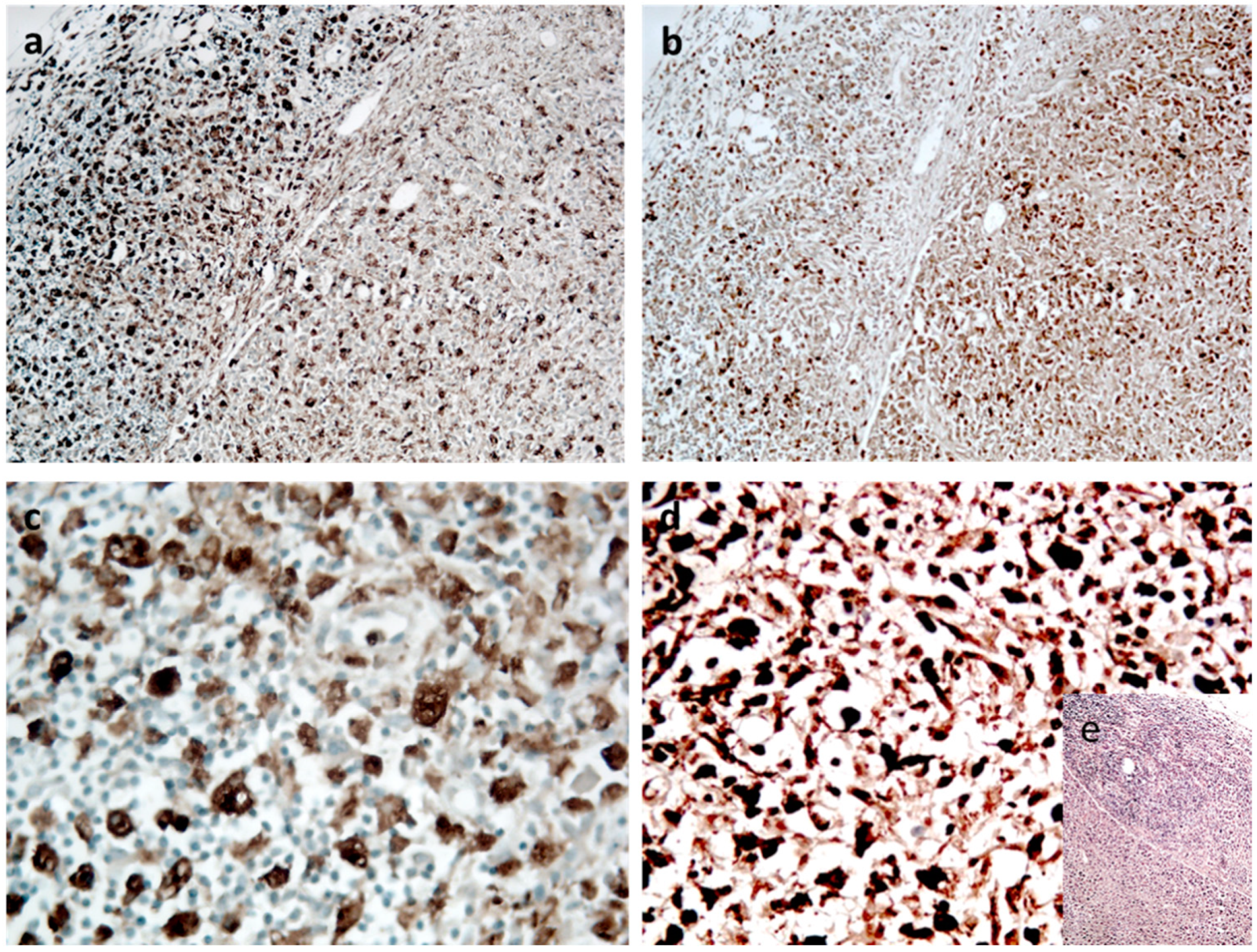 Ijerph 18 12911 g002