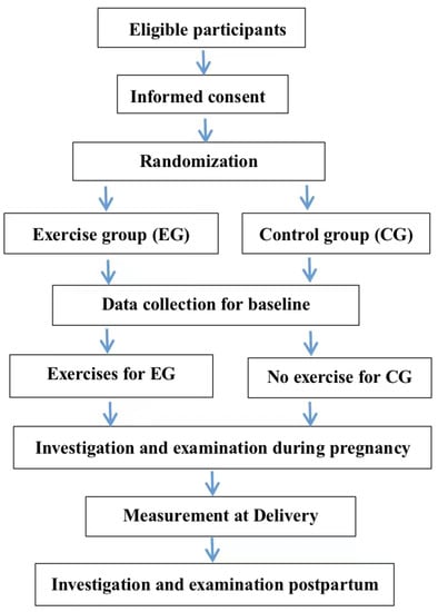 Pregnancy Incontinence Prevention and Treatment Methods