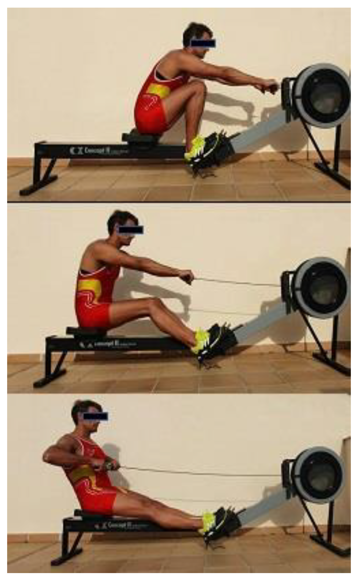 Ijerph 18 12930 g002 Ijerph 18 12930 g002