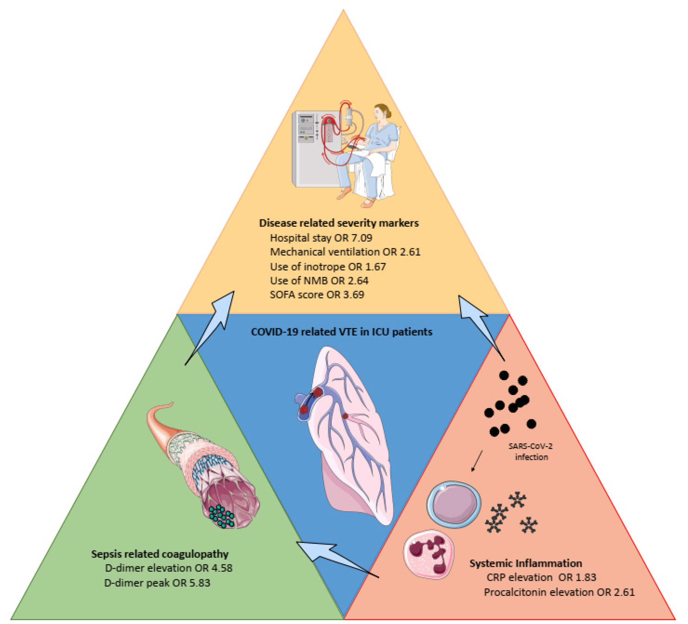 Ijerph 18 12944 g002