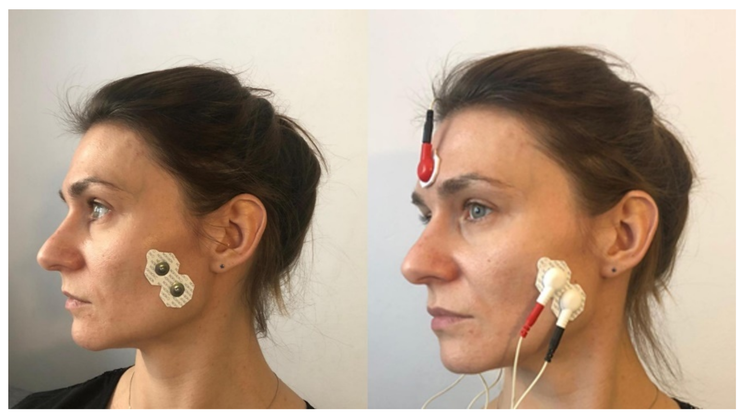 Ijerph 18 12970 g002 550