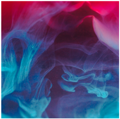 Ijerph 18 12989 i005