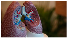 Ijerph 18 12989 i026