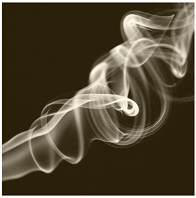 Ijerph 18 12989 i028