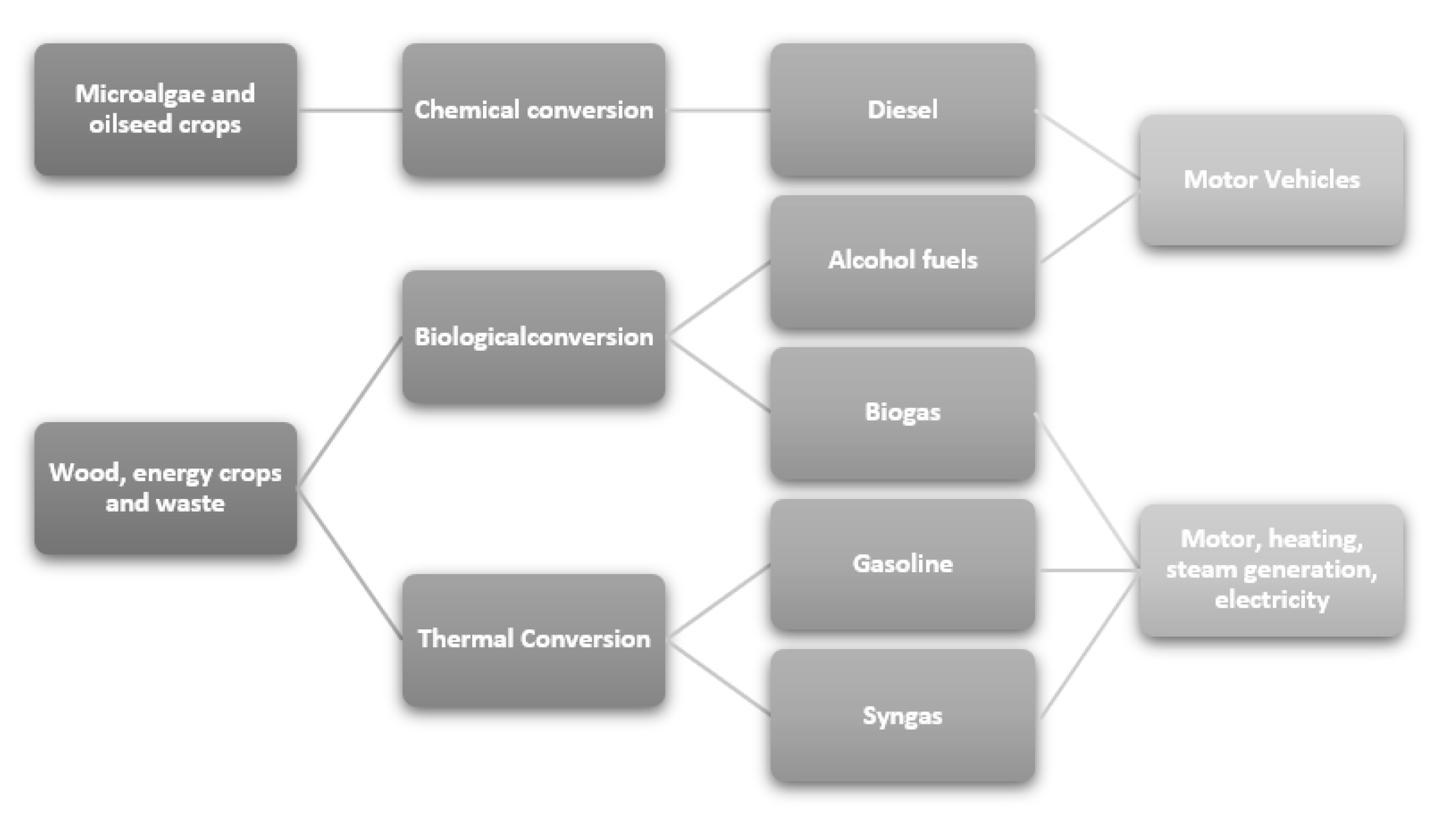 Green Diesel Production by Catalytic Hydrodeoxygenation of