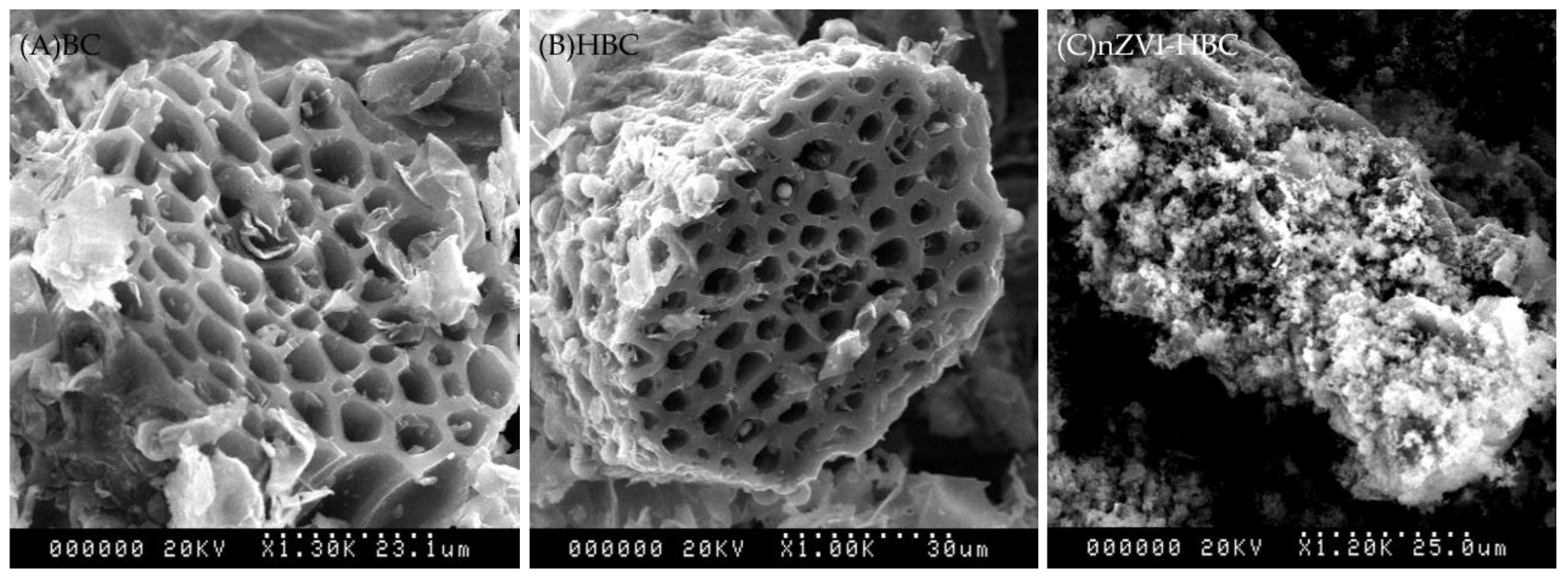 Ijerph 18 13107 g001 550