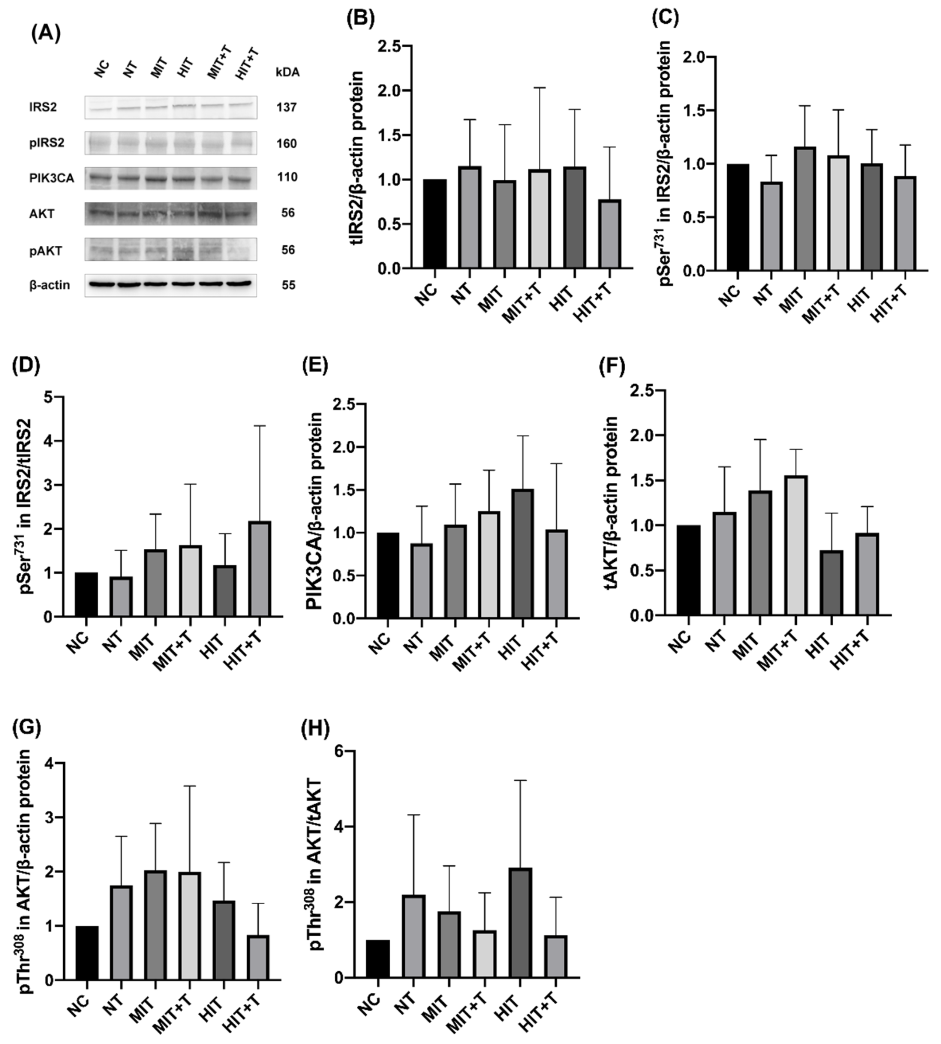 Ijerph 18 13141 g005