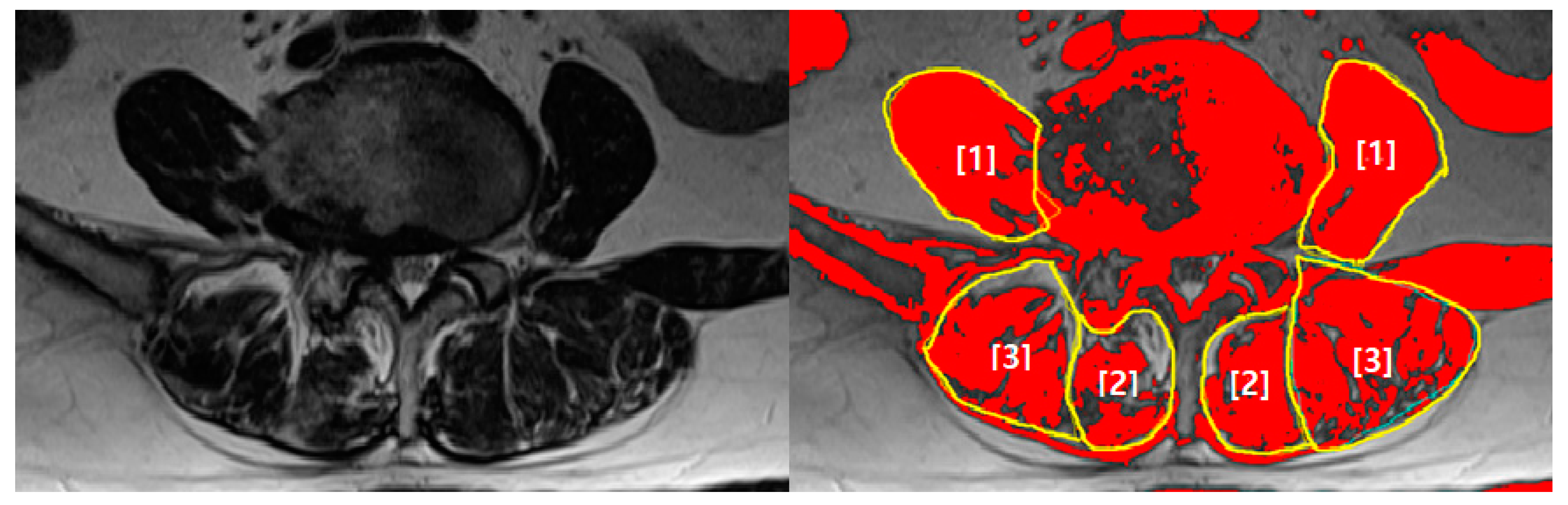 Ijerph 18 13155 g001 550
