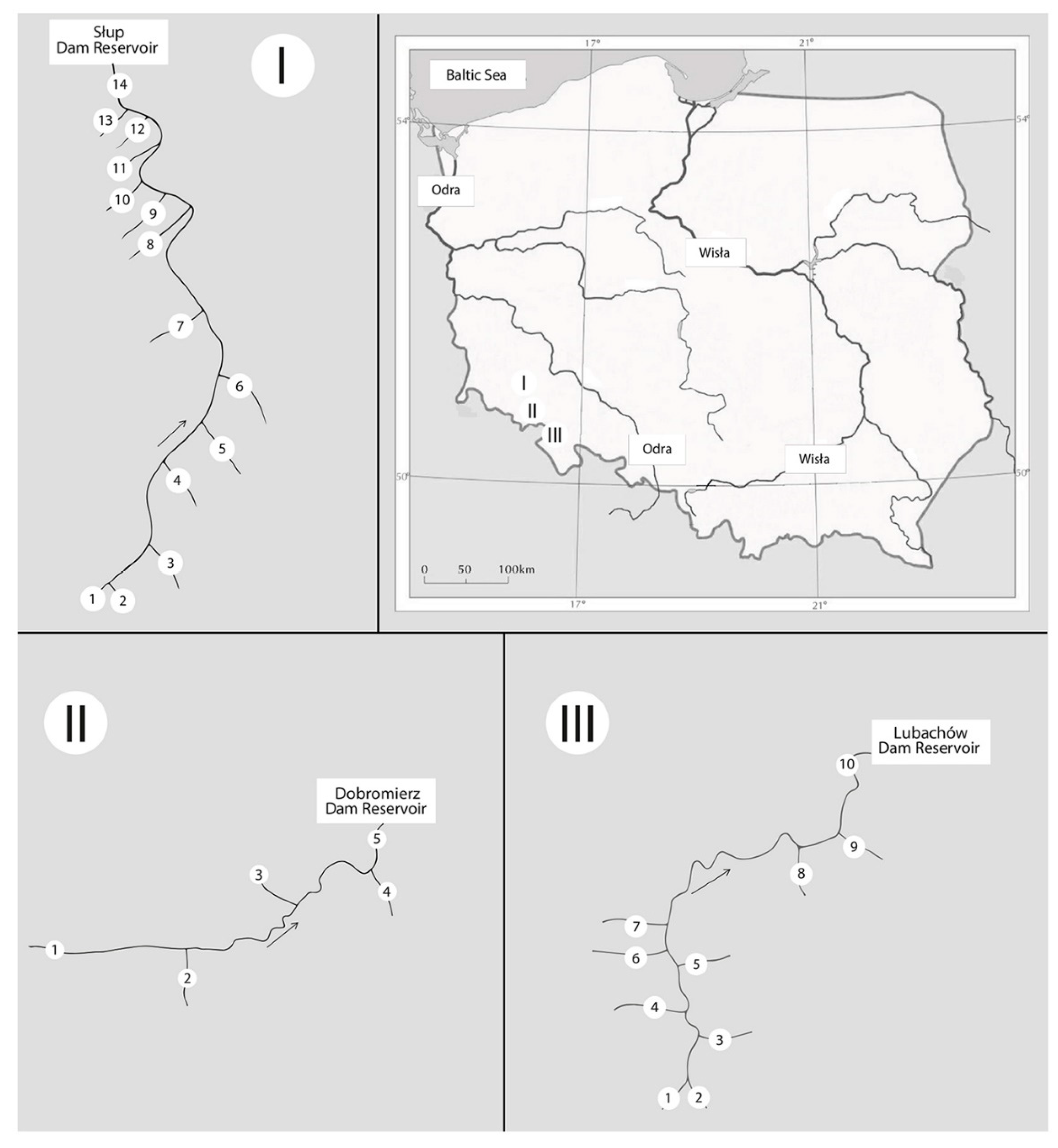 Ijerph 18 13170 g001