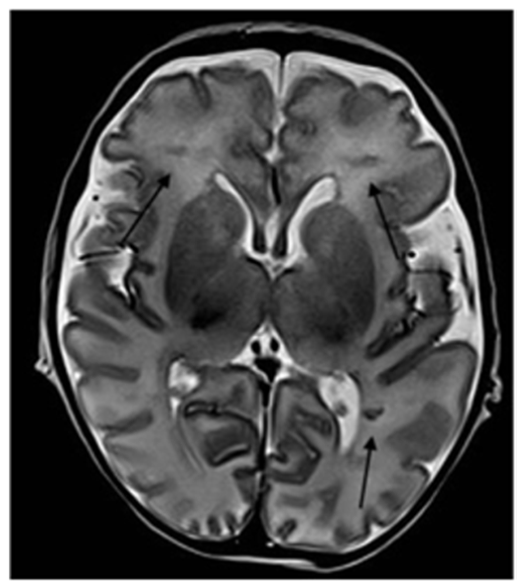 Ijerph 18 13201 g002