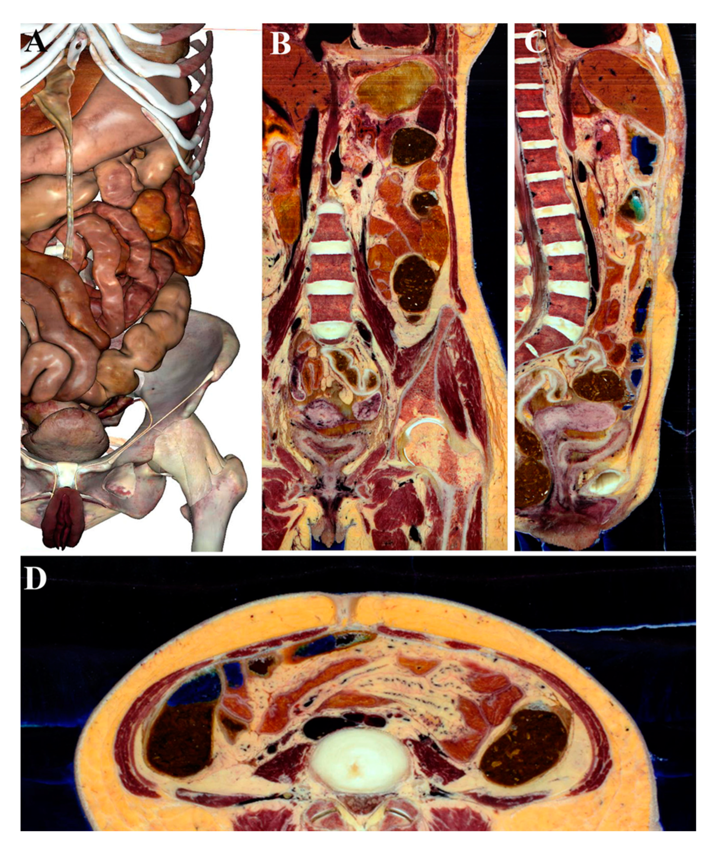 Ijerph 18 13247 g001