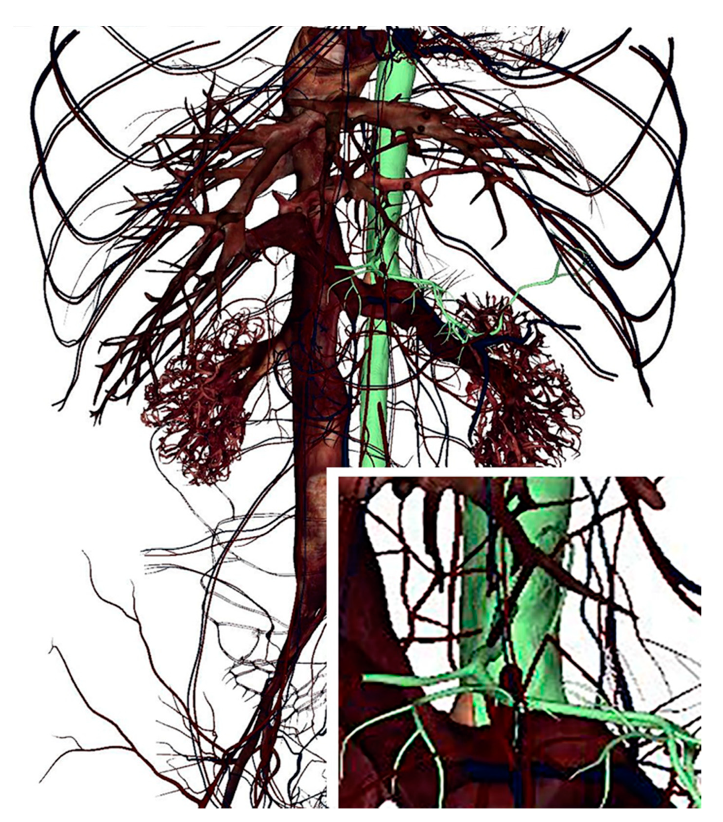 Ijerph 18 13247 g003