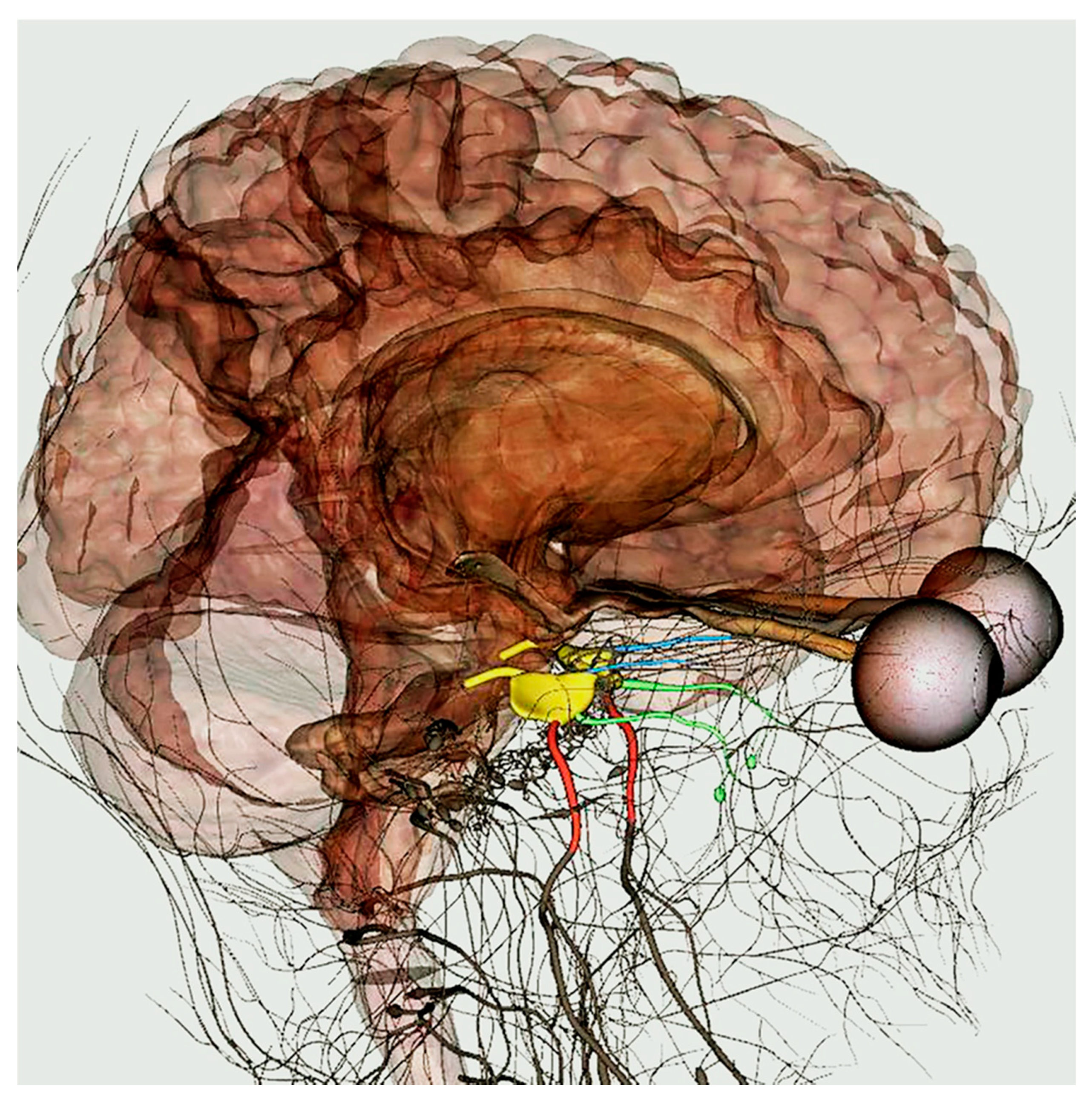Ijerph 18 13247 g004
