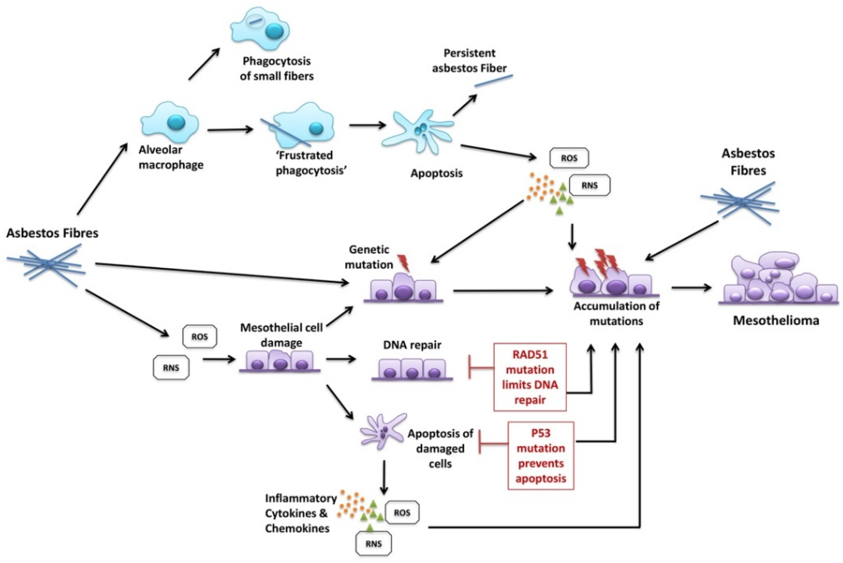 Ijerph 18 13310 g001