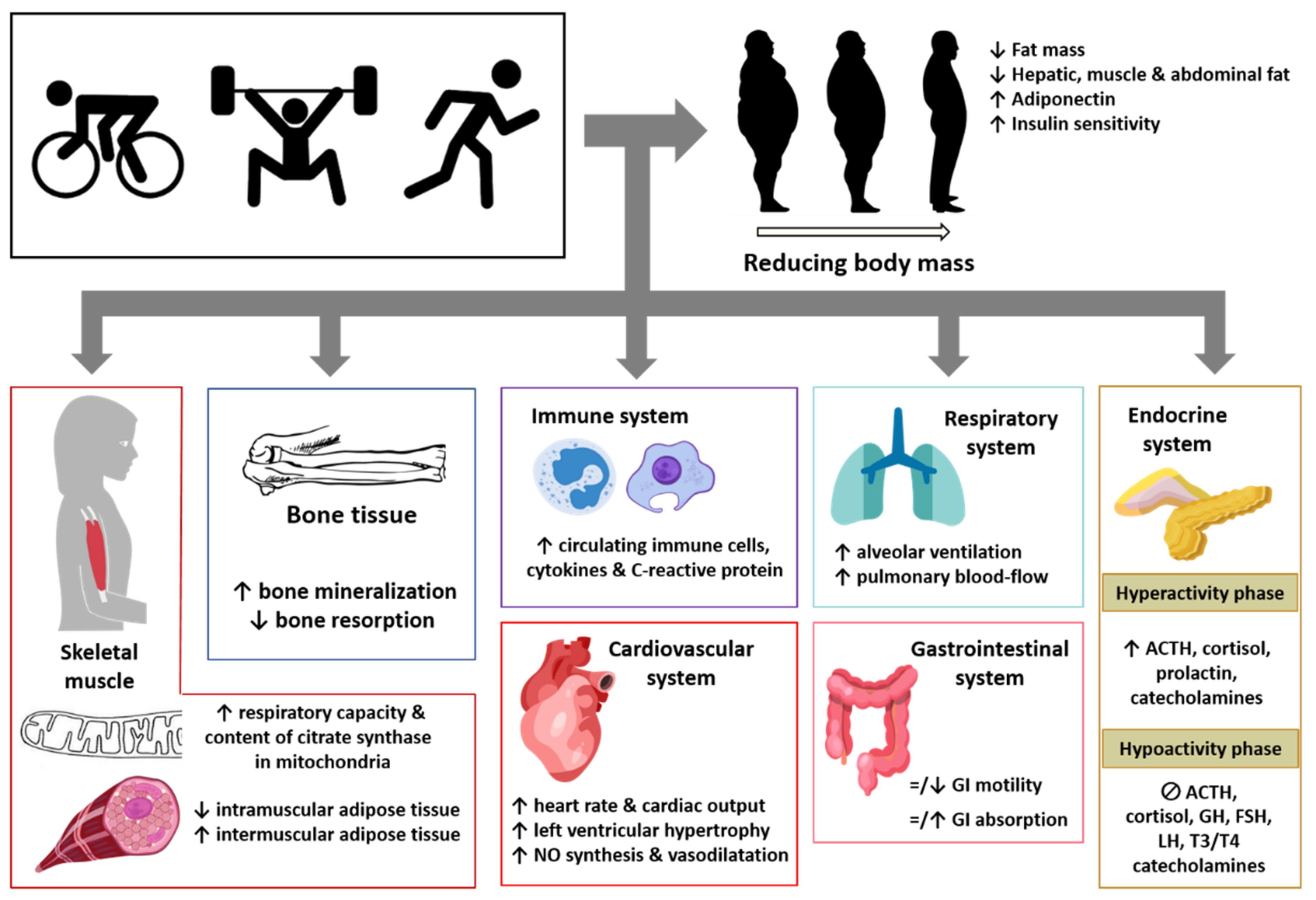 IJERPH Free FullText Physiological Changes and Pathological Pain