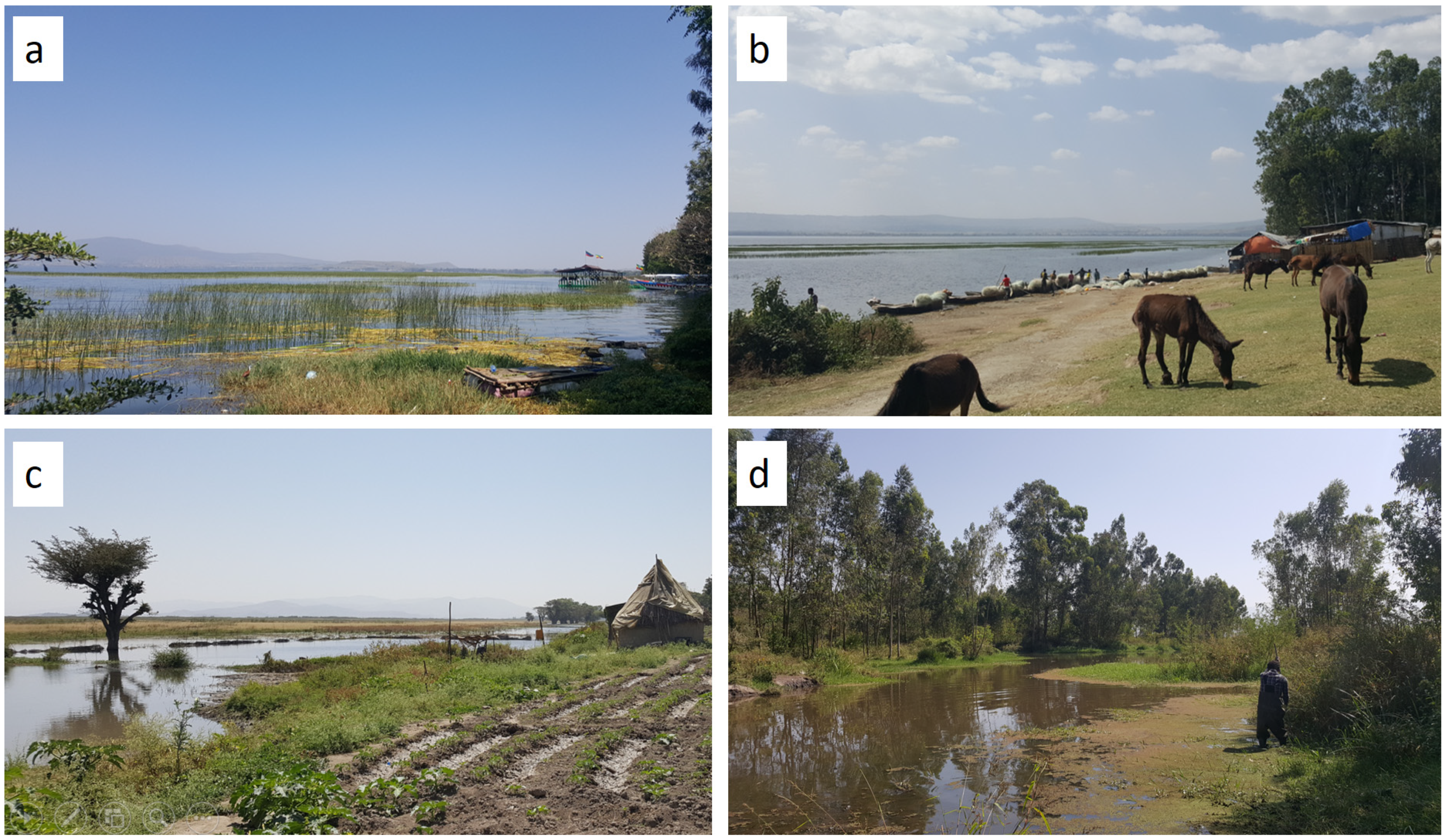 Ijerph 19 00142 g002 Ijerph 19 00142 g002