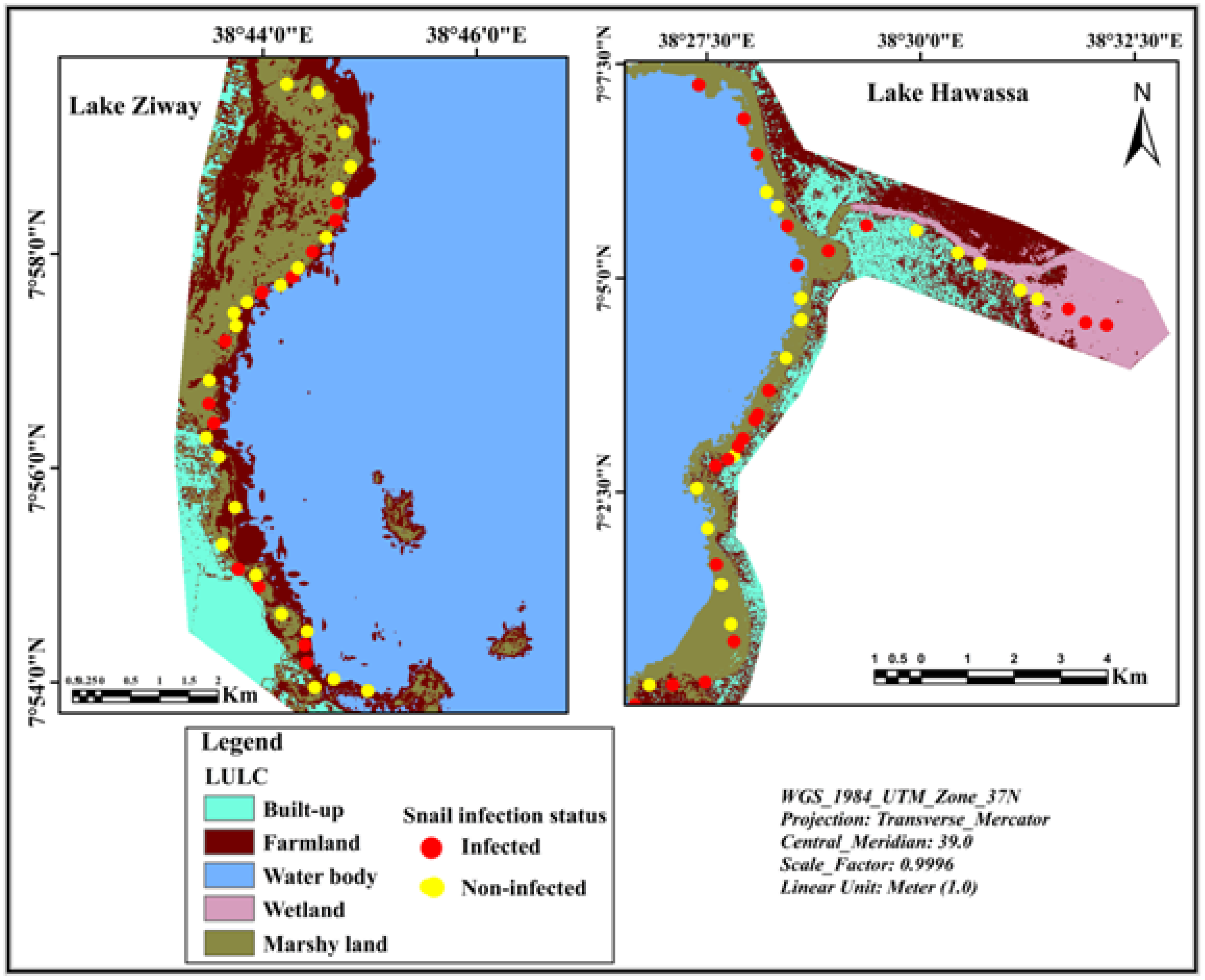 Ijerph 19 00142 g004 Ijerph 19 00142 g004